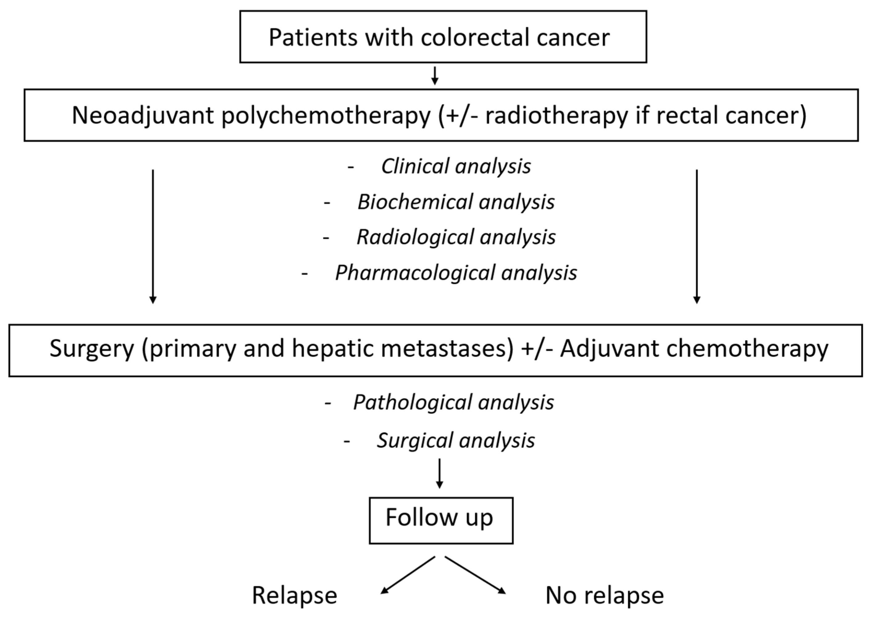 Biomedicines 12 01859 g001