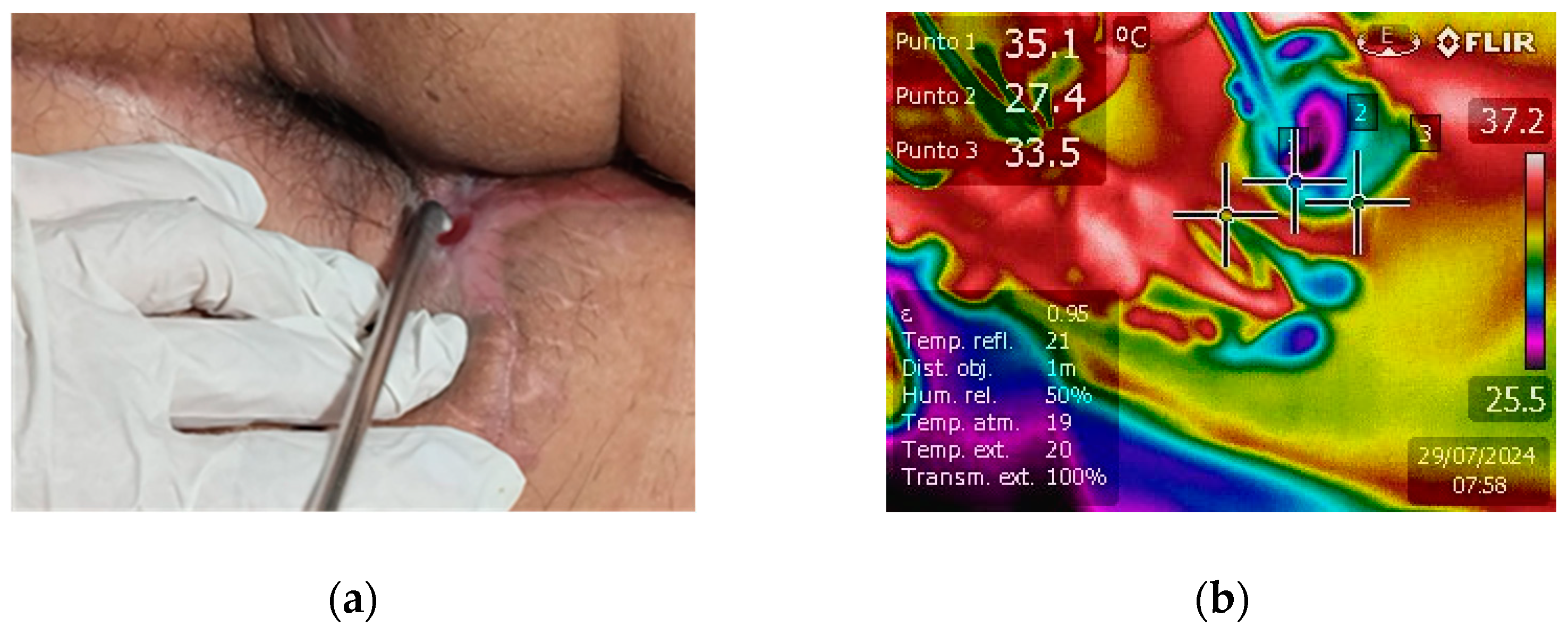 Biomedicines 12 01866 g003