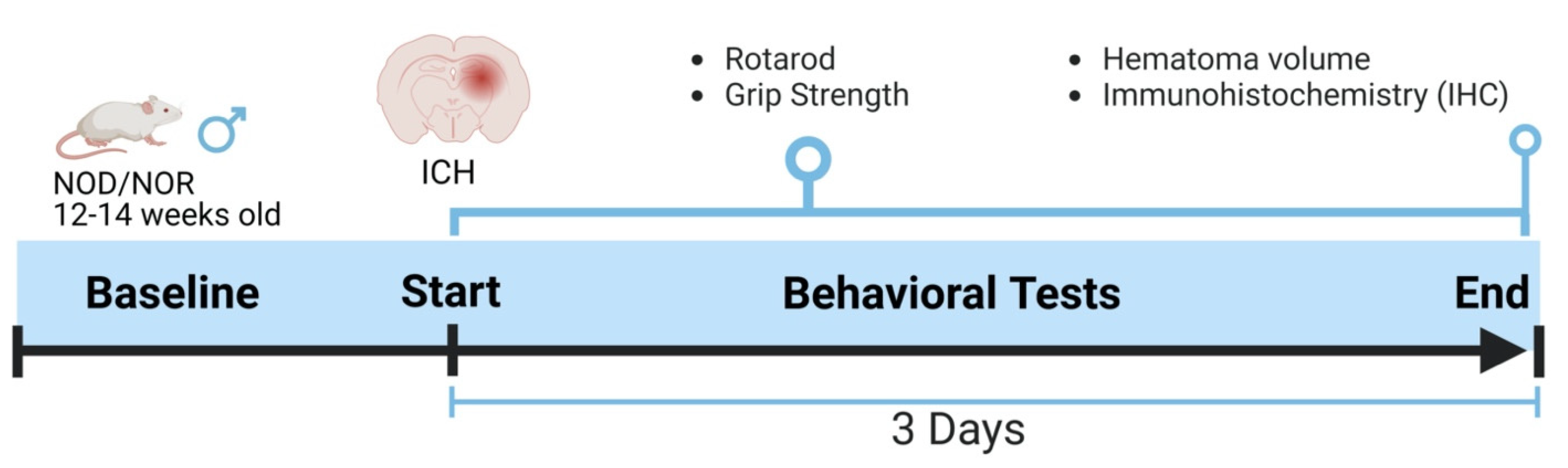 Biomedicines 12 01867 g001 Biomedicines 12 01867 g001