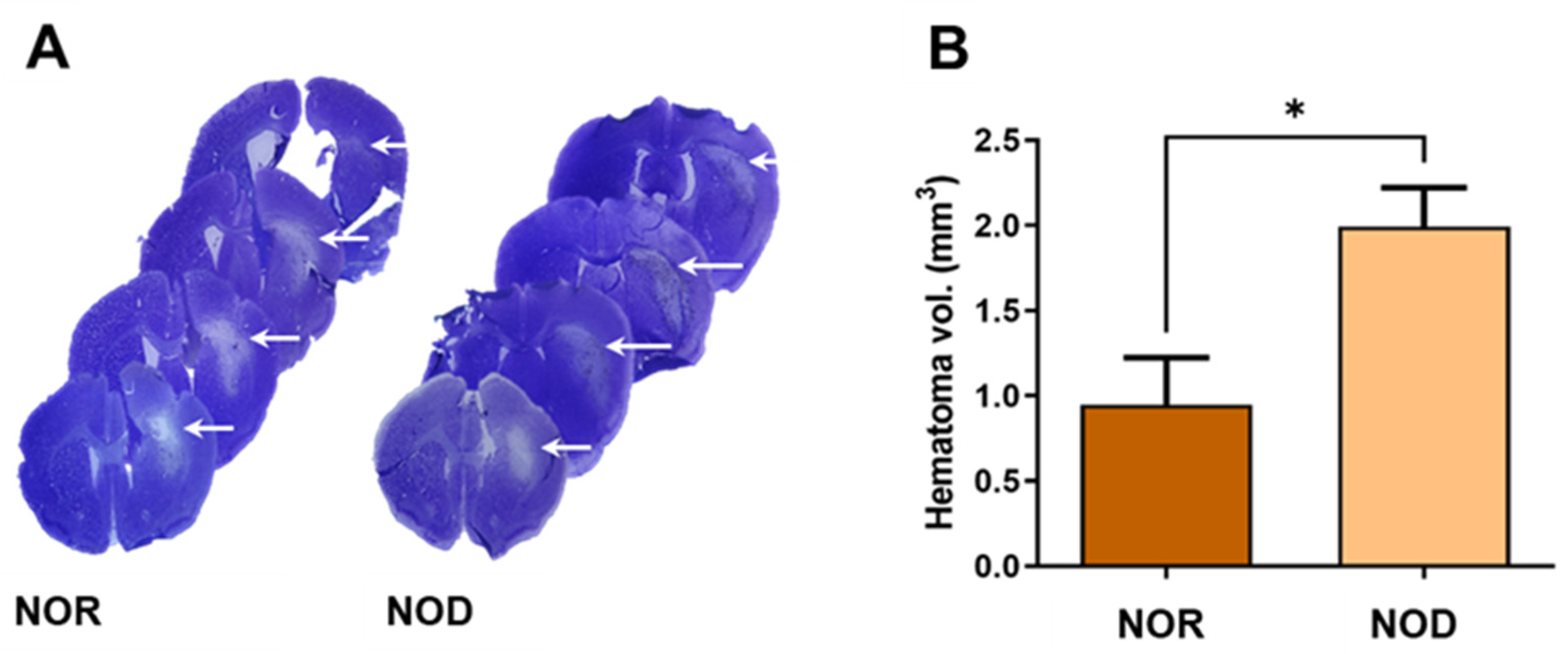 Biomedicines 12 01867 g003 Biomedicines 12 01867 g003