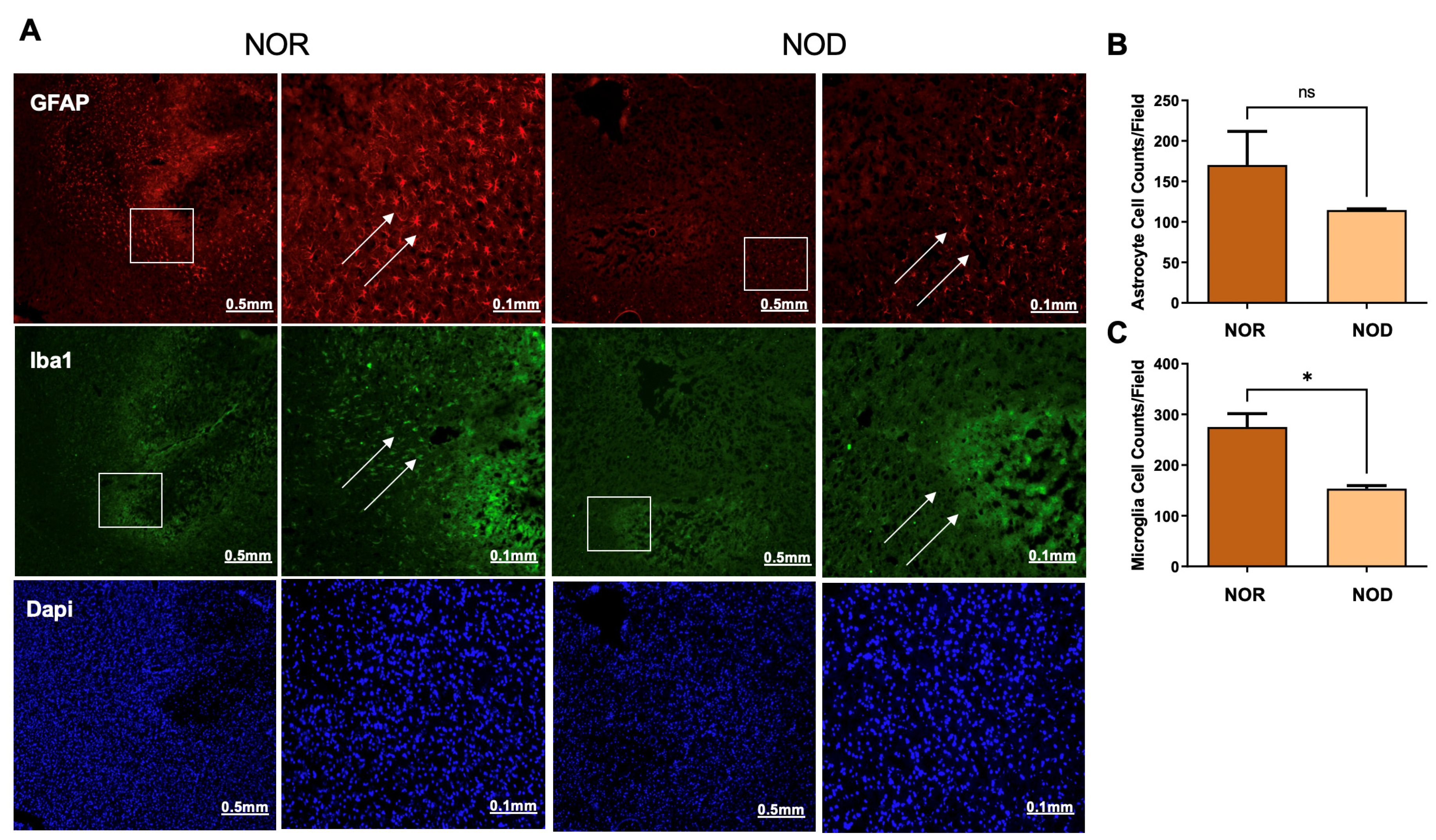 Biomedicines 12 01867 g004 Biomedicines 12 01867 g004