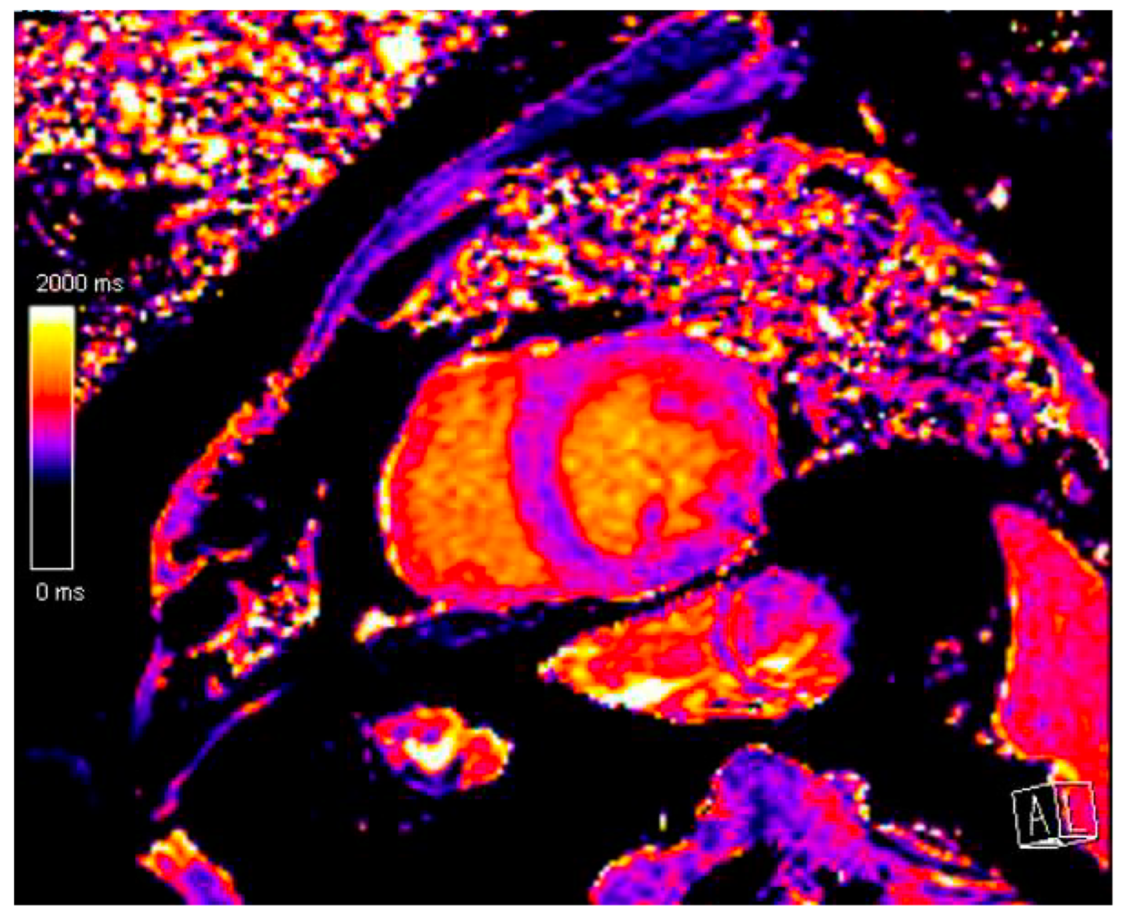 Biomedicines 12 01875 g002 Biomedicines 12 01875 g002