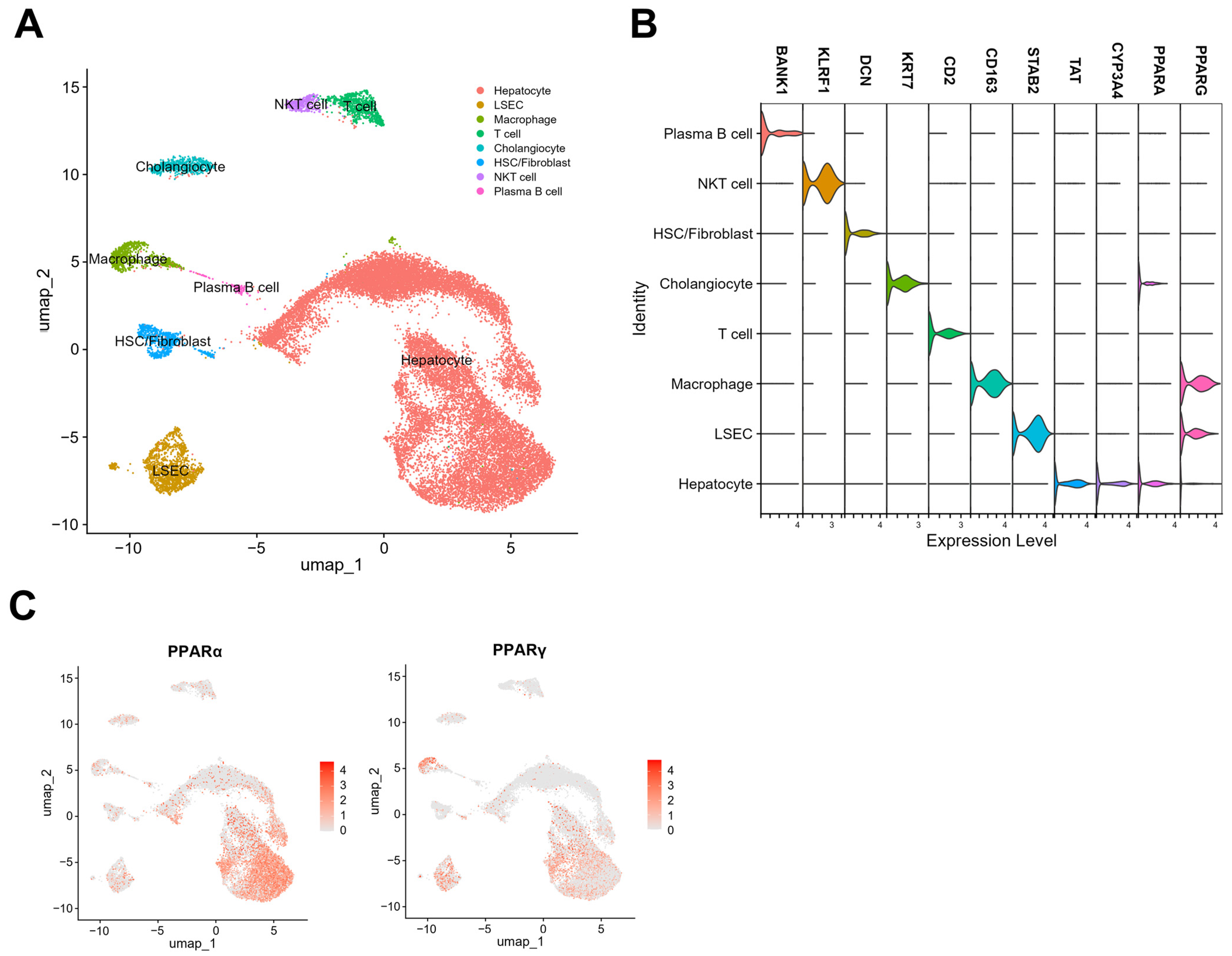 Biomedicines 12 01876 g002