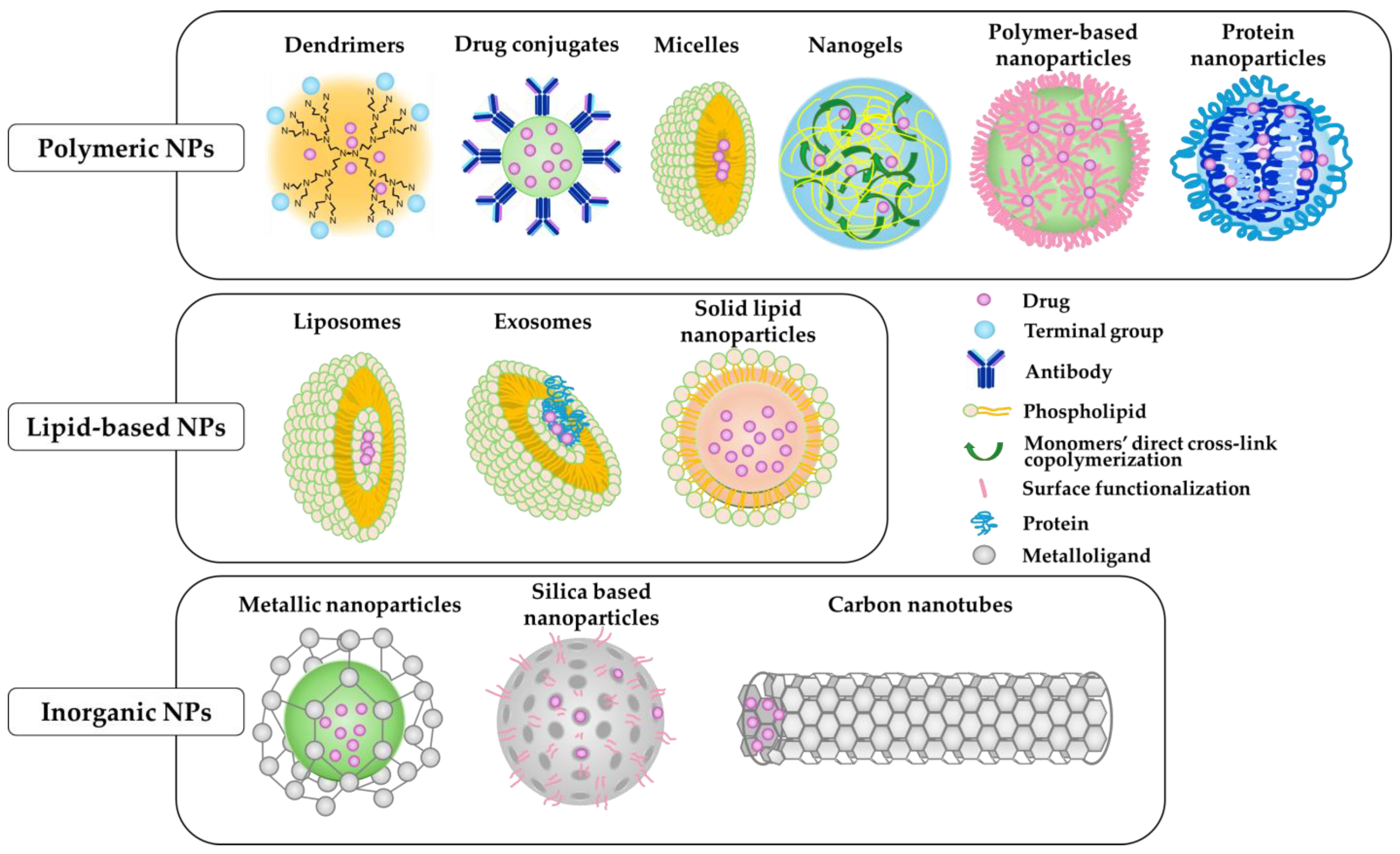 Biomedicines 12 01876 g003