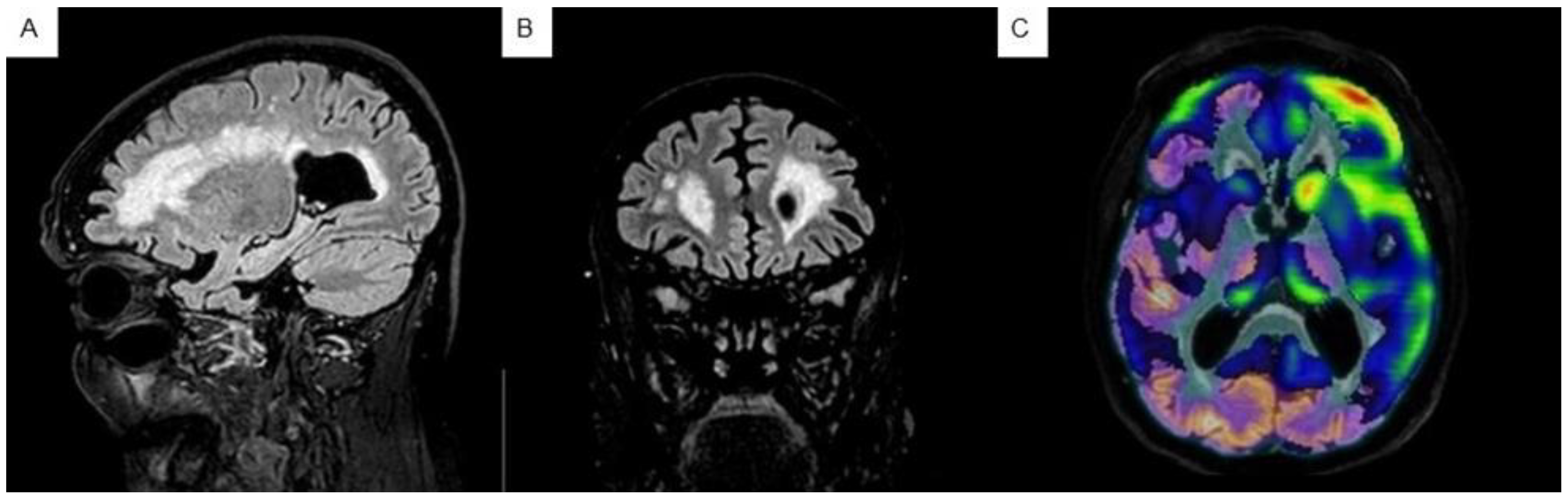 Biomedicines 12 01881 g001