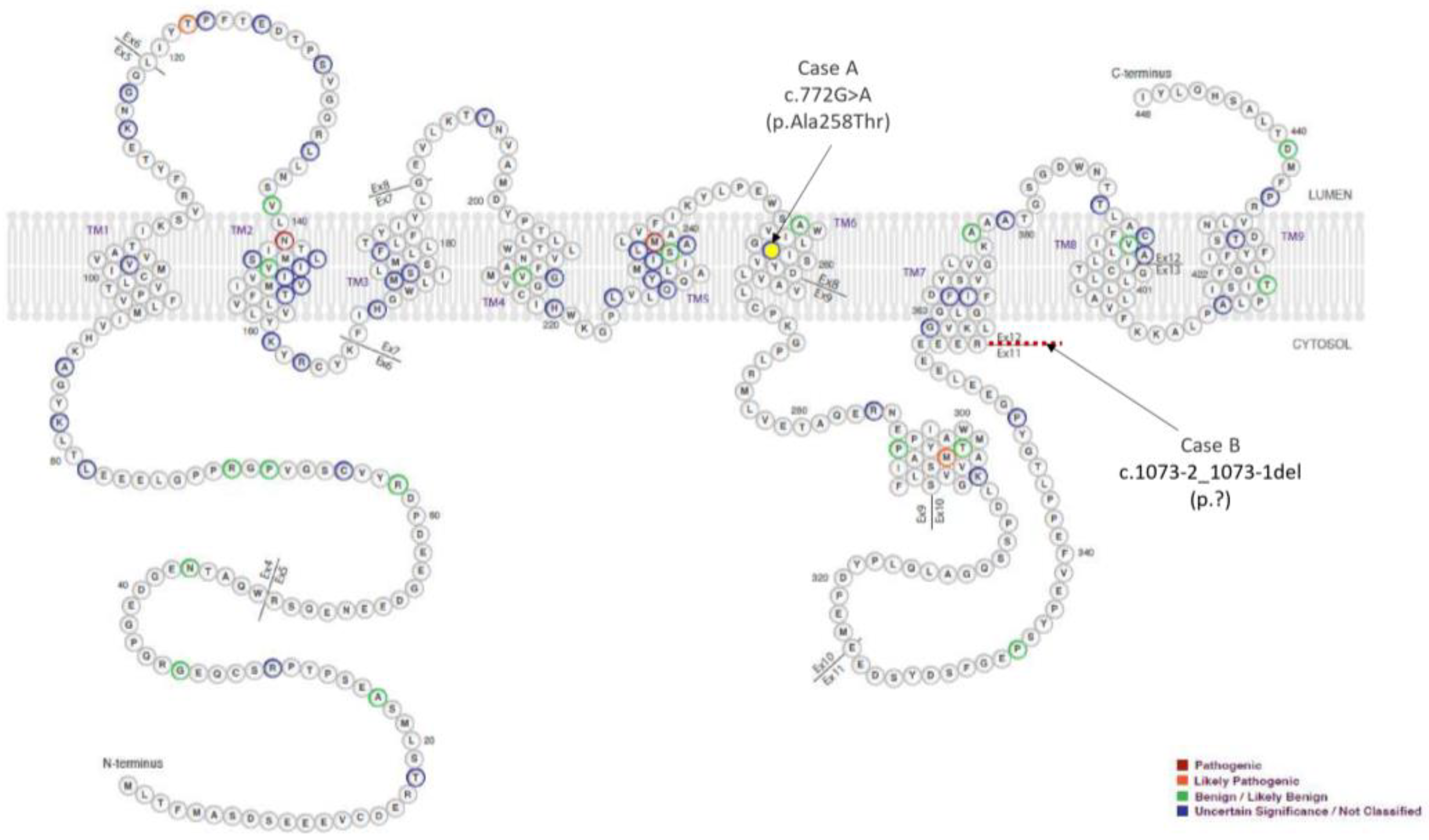 Biomedicines 12 01881 g002