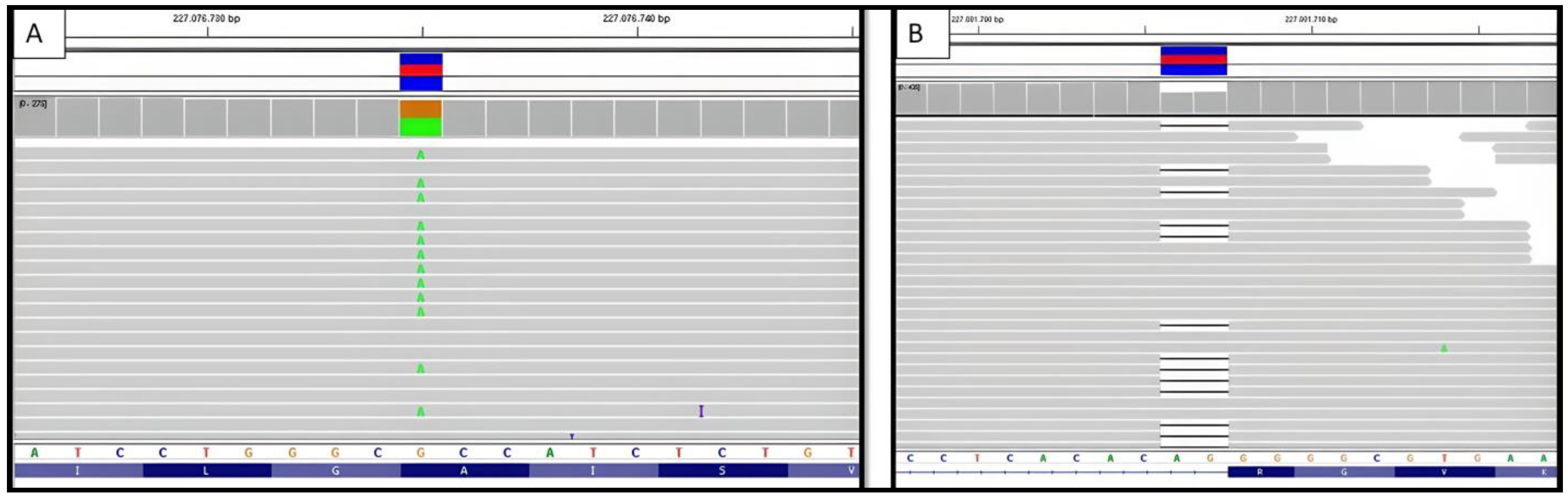 Biomedicines 12 01881 g003