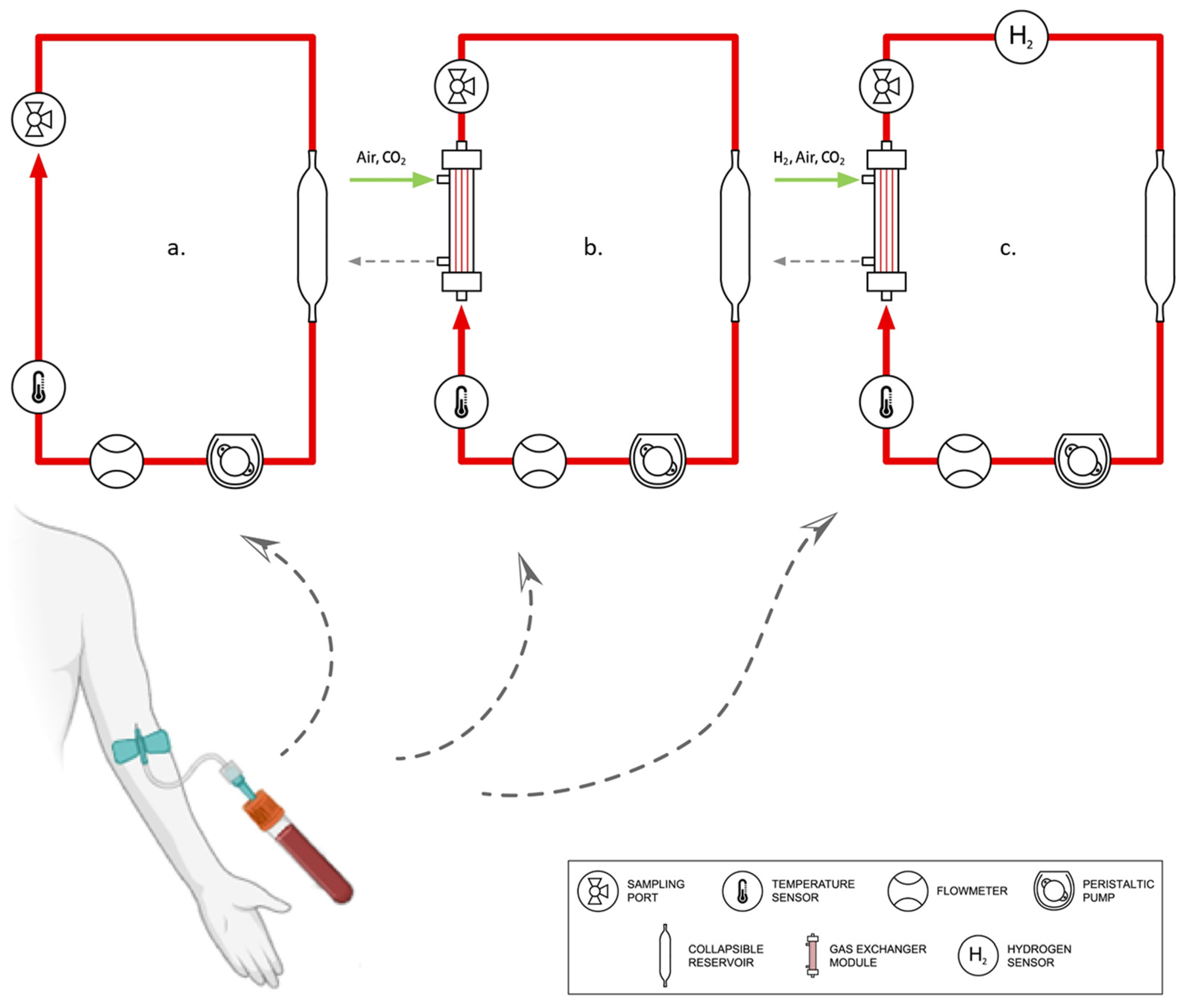 Biomedicines 12 01883 g001