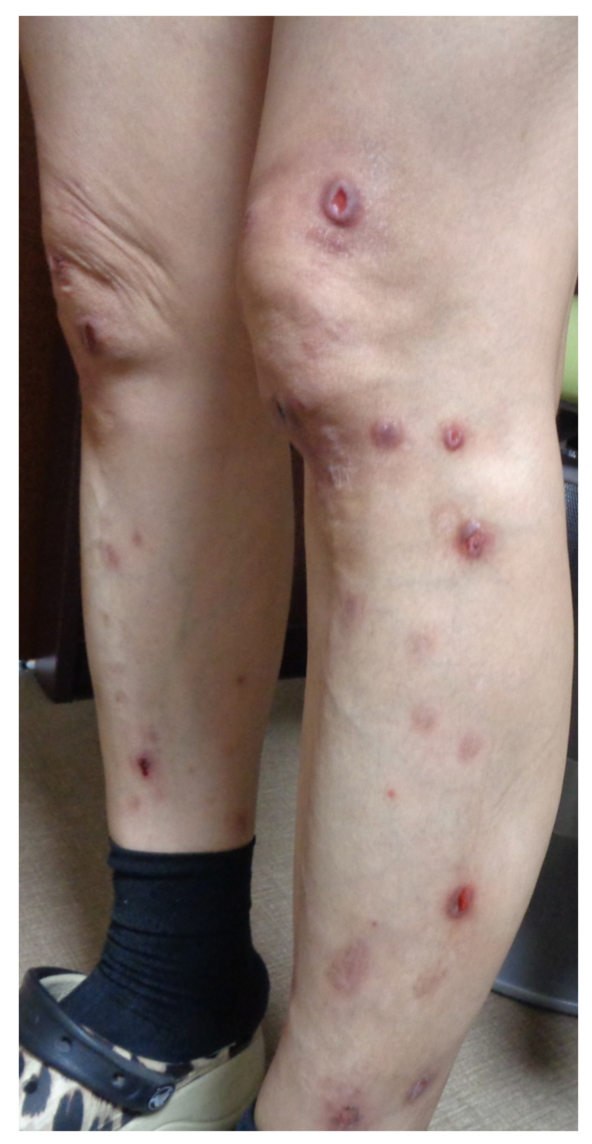 Biomedicines 12 01886 g002