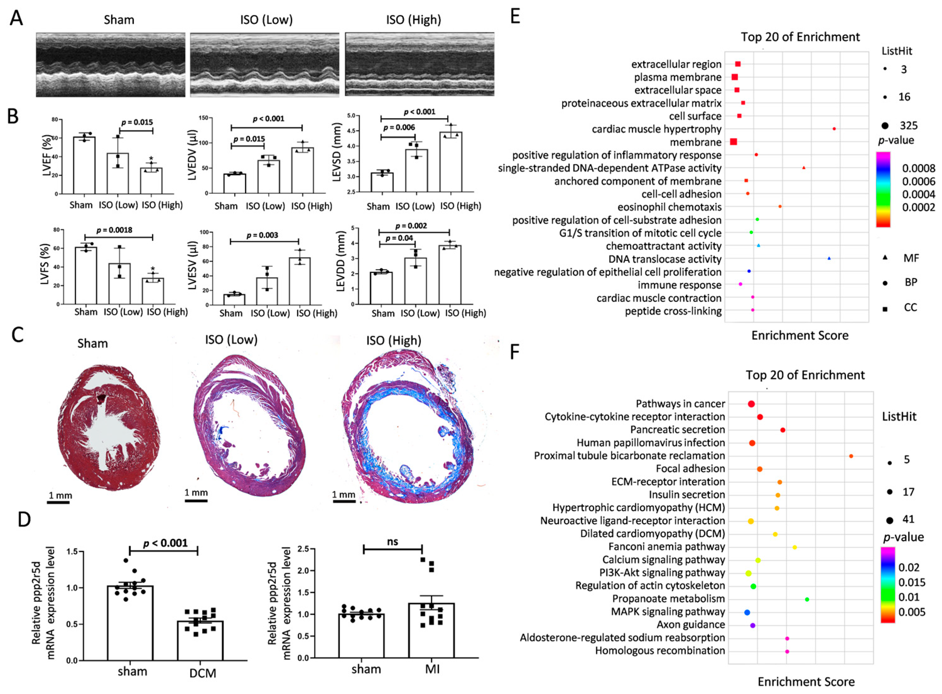 Biomedicines 12 01887 g001