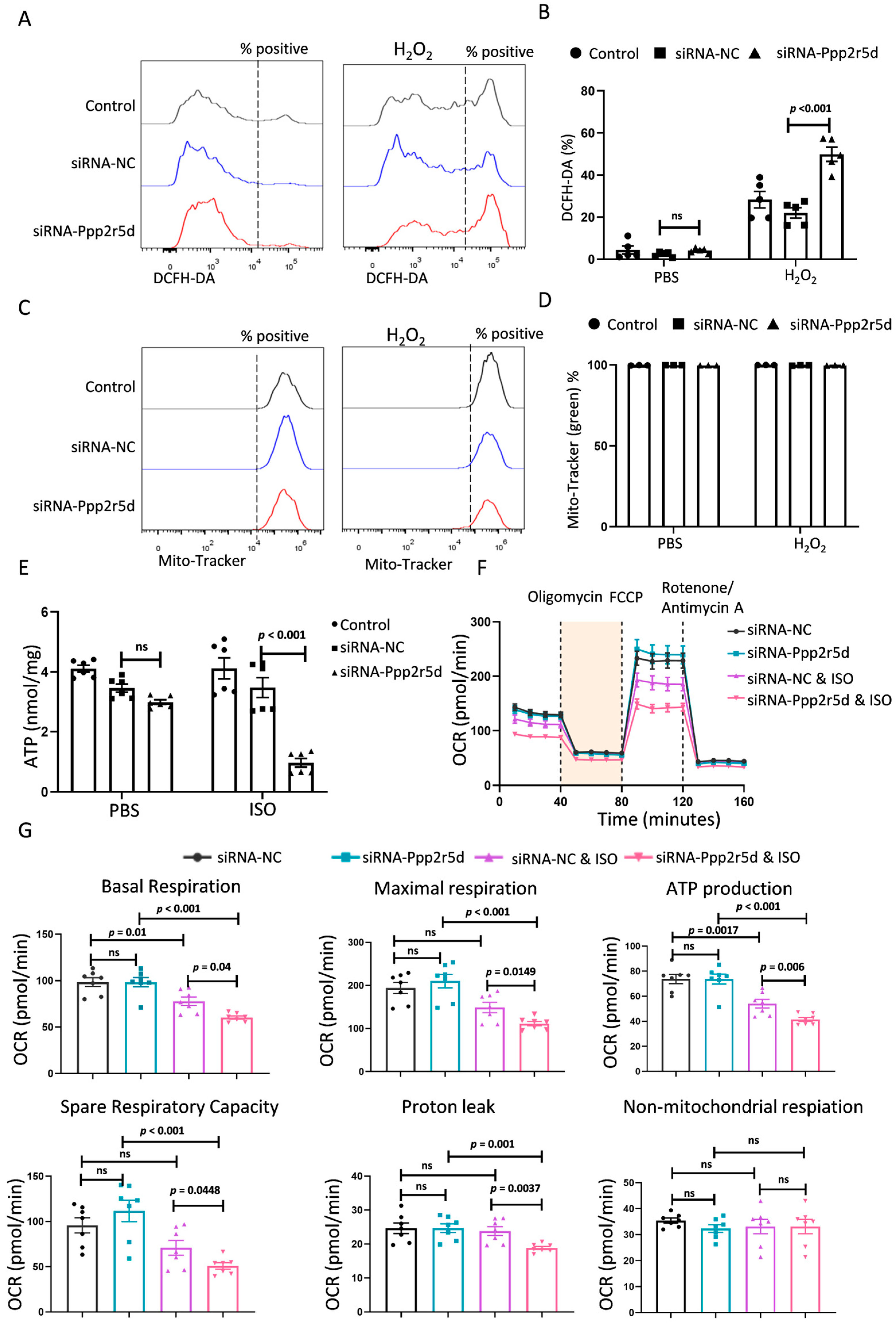 Biomedicines 12 01887 g002