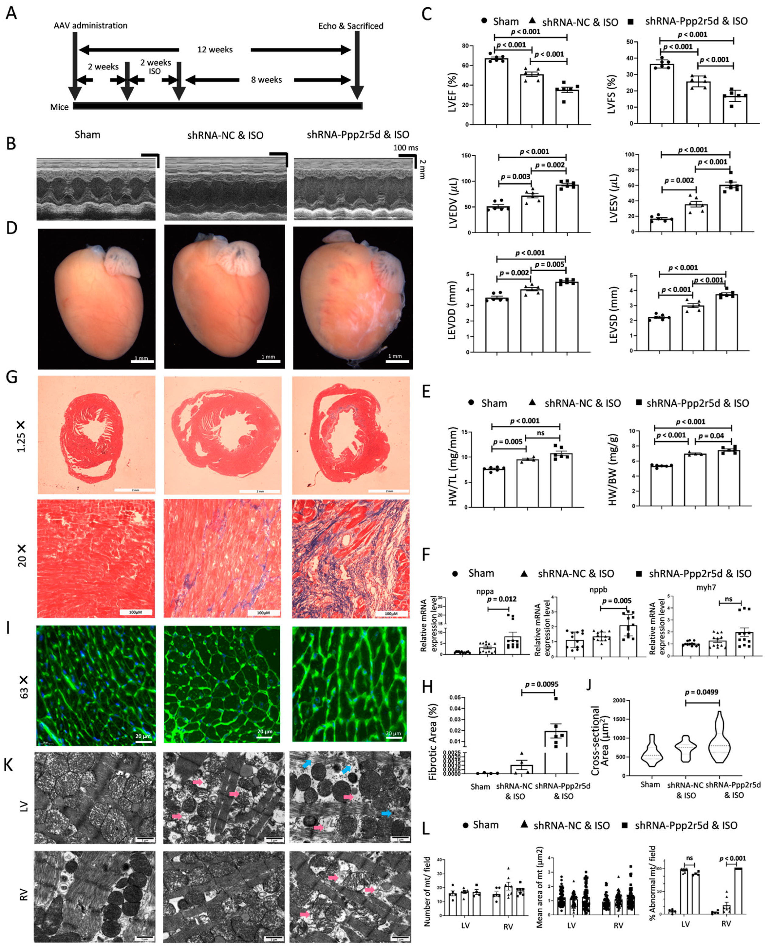 Biomedicines 12 01887 g003