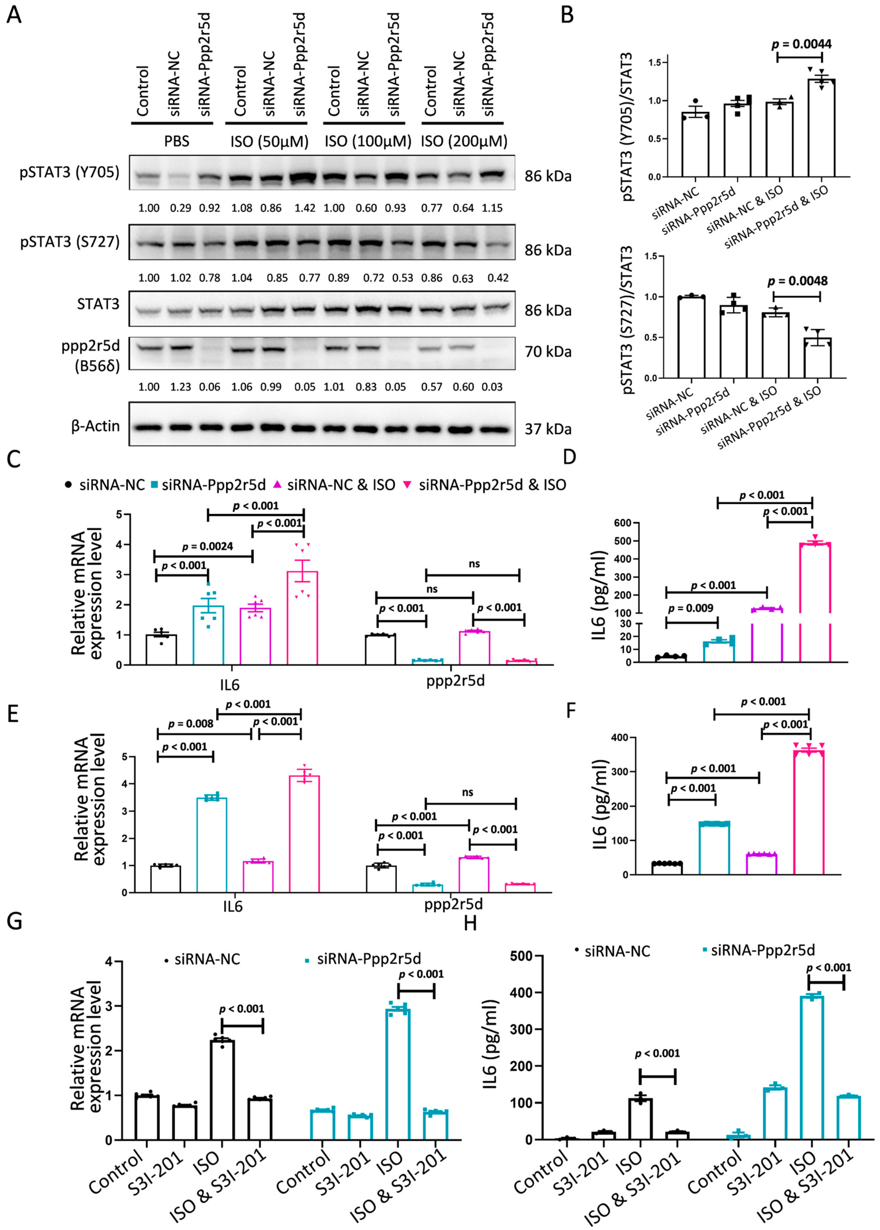 Biomedicines 12 01887 g005