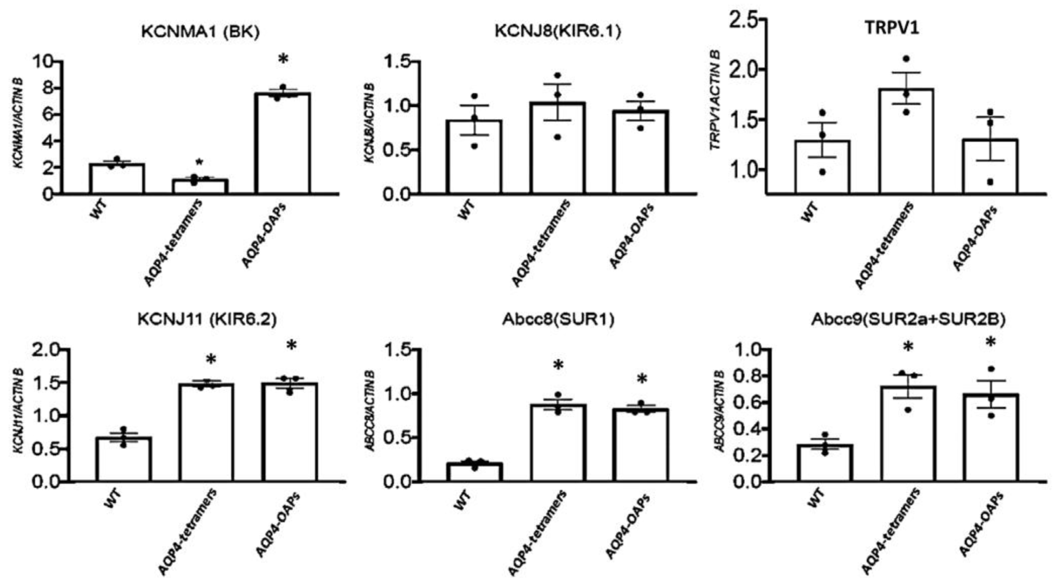 Biomedicines 12 01891 g005