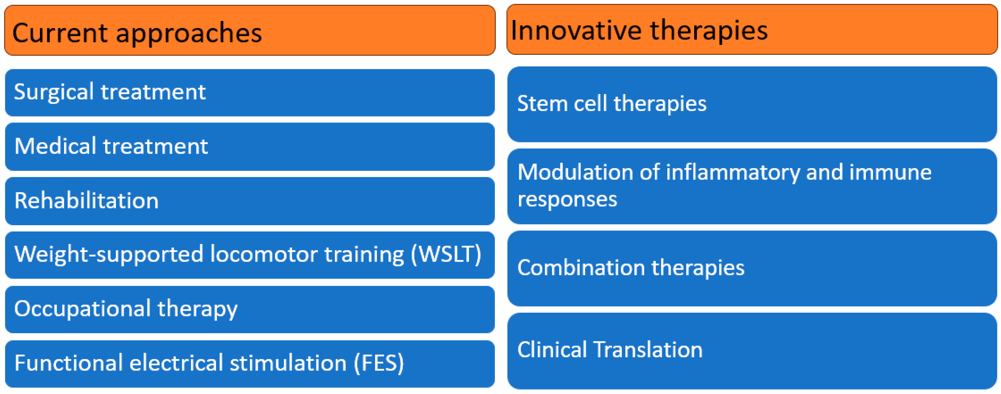 Biomedicines 12 01894 g001