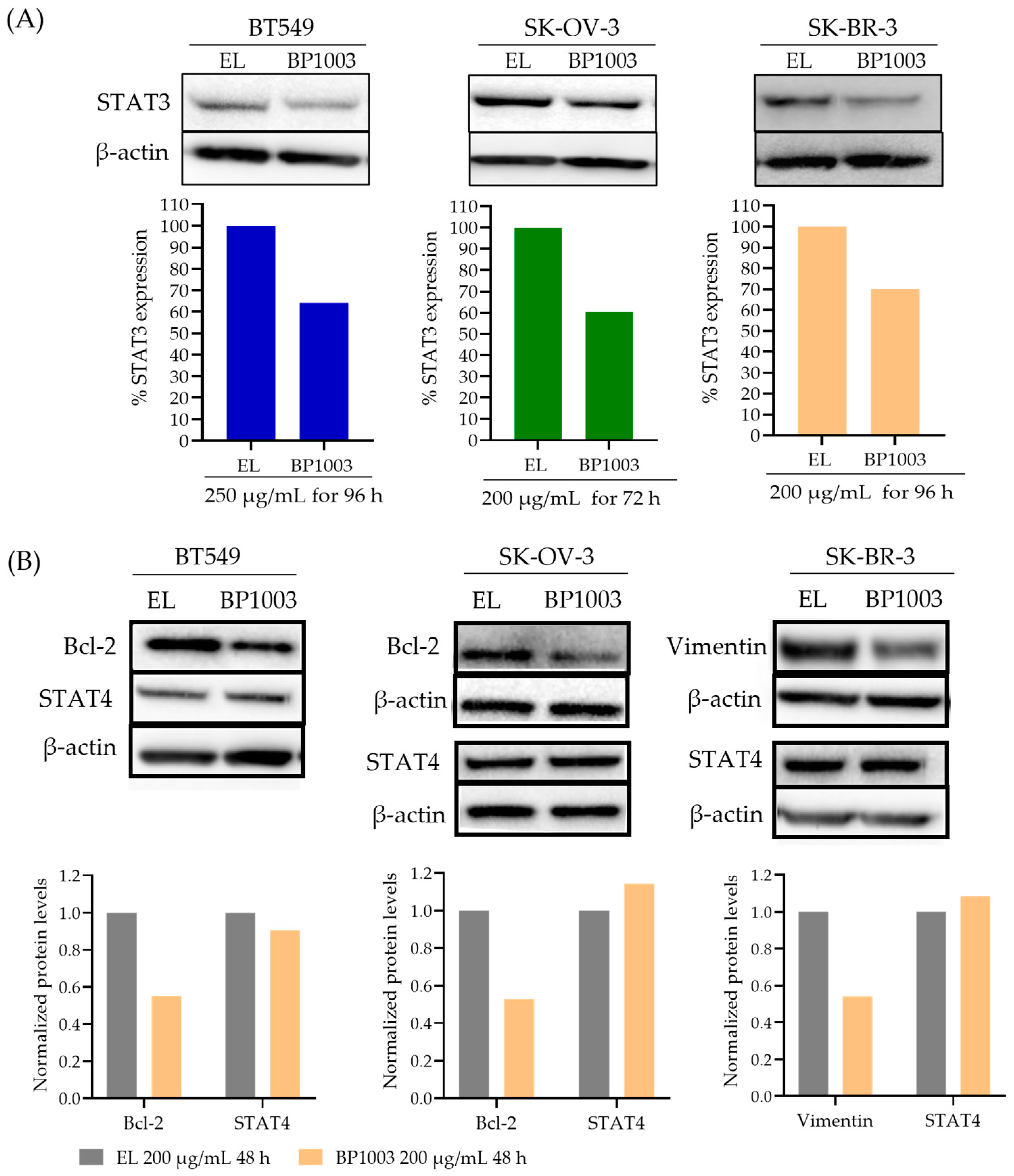 Biomedicines 12 01901 g001 Biomedicines 12 01901 g001