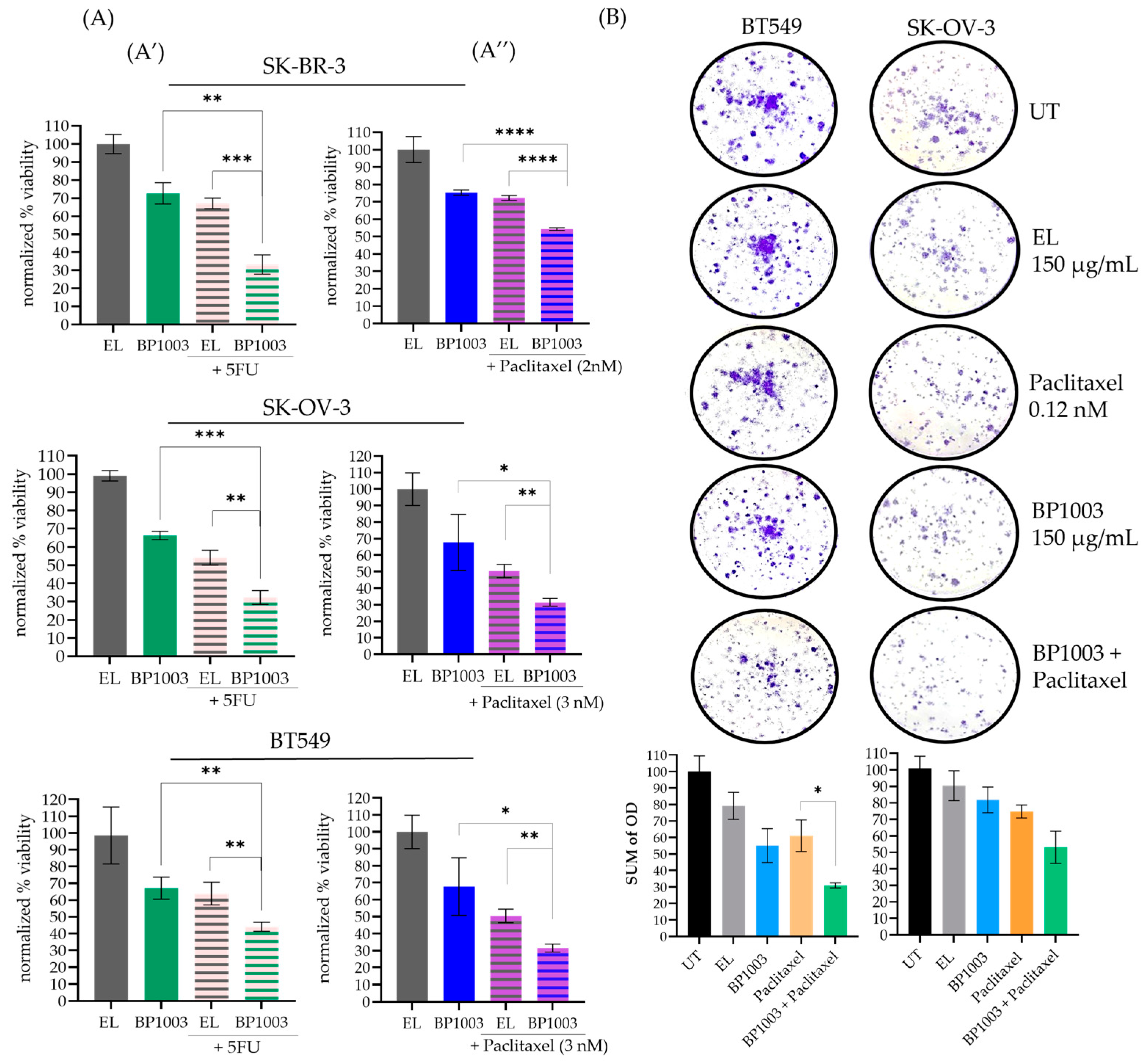 Biomedicines 12 01901 g002 Biomedicines 12 01901 g002