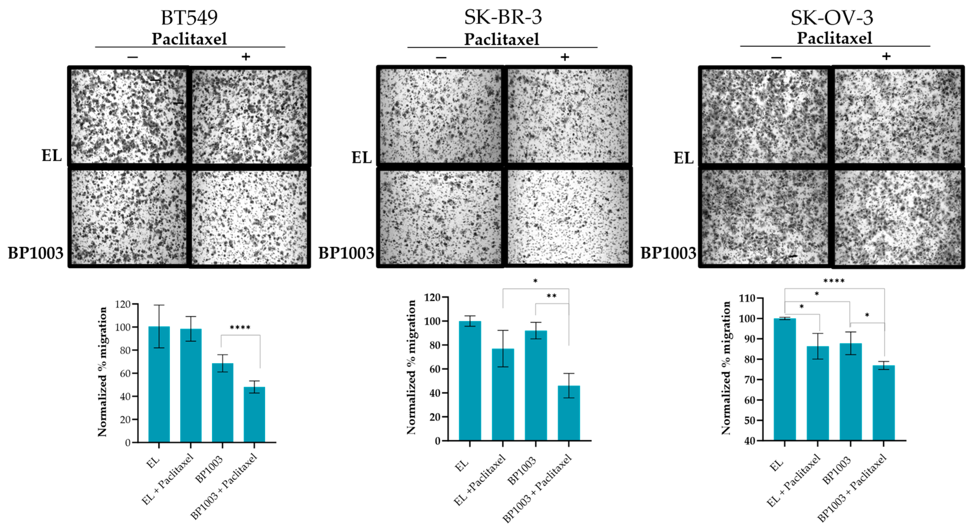 Biomedicines 12 01901 g003 Biomedicines 12 01901 g003