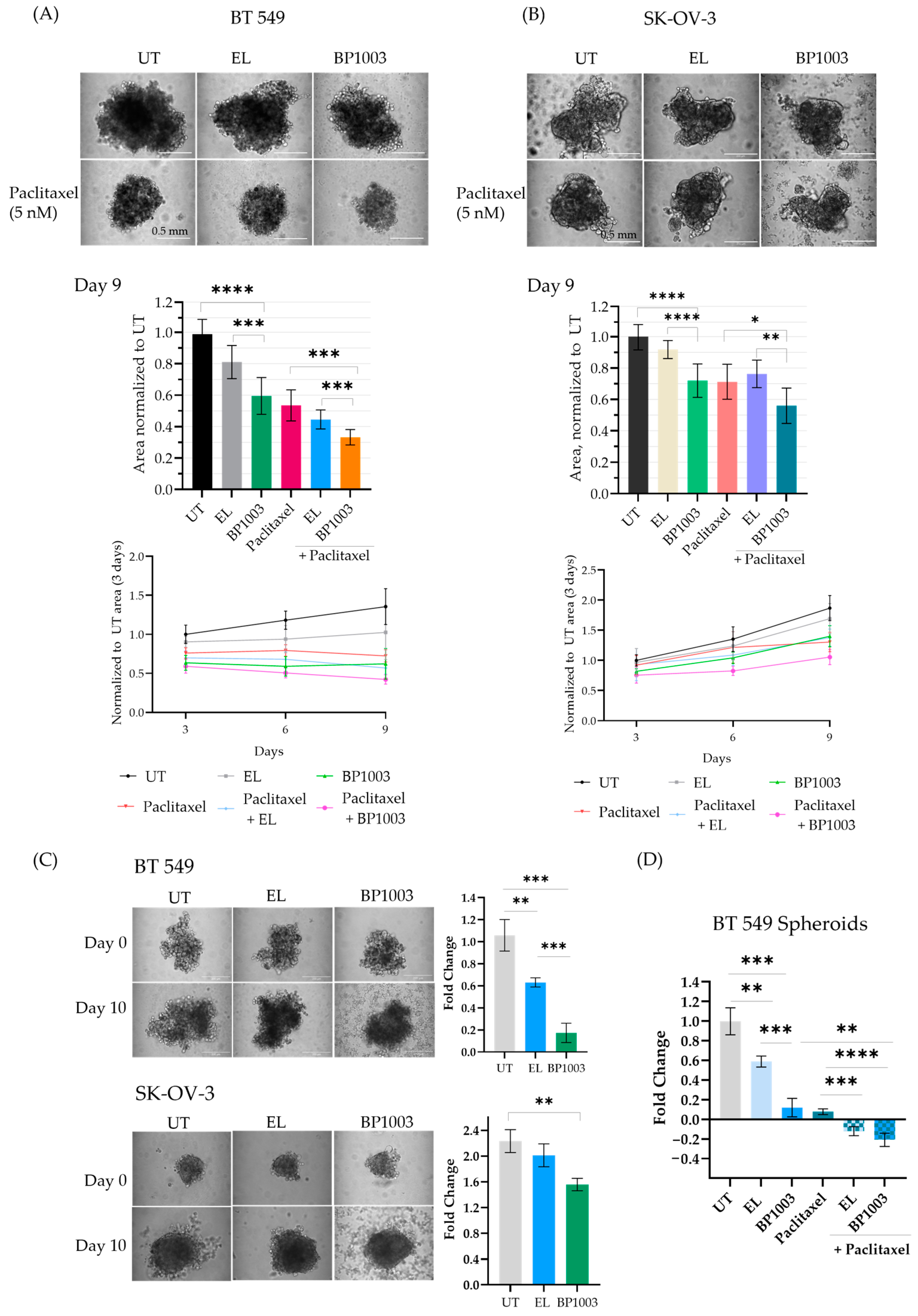 Biomedicines 12 01901 g004 Biomedicines 12 01901 g004