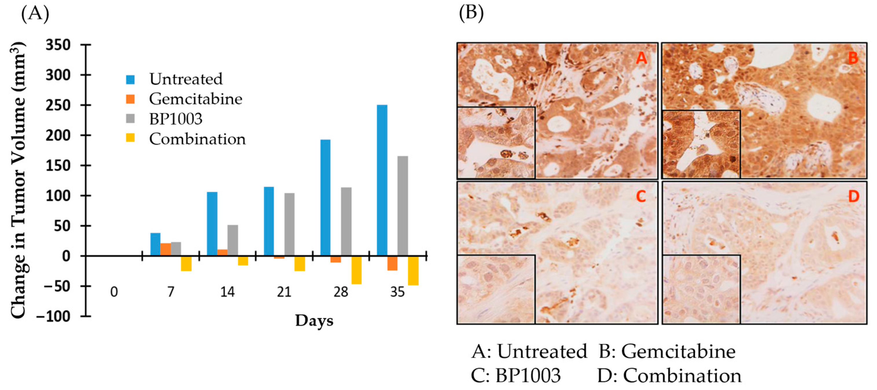Biomedicines 12 01901 g005 Biomedicines 12 01901 g005