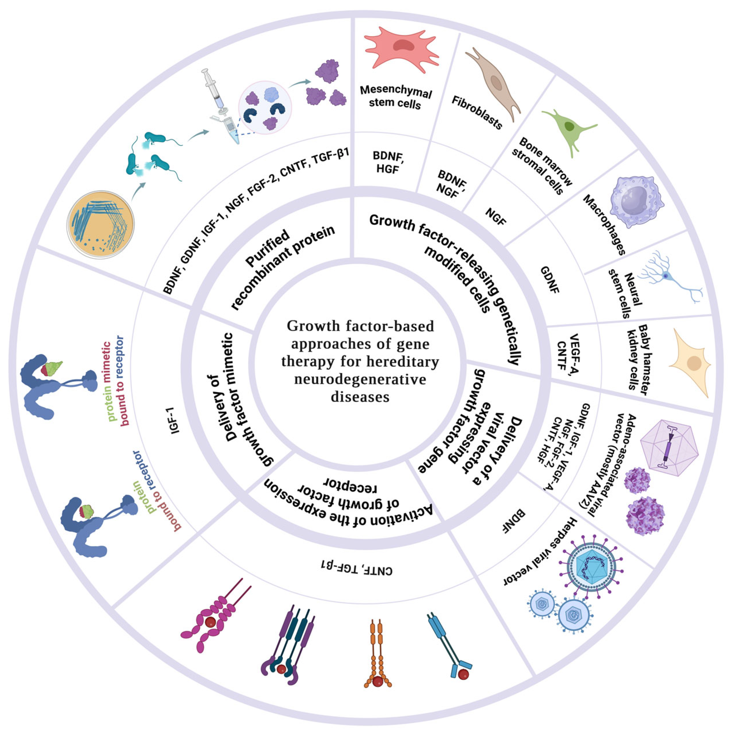 Biomedicines 12 01906 g001 Biomedicines 12 01906 g001