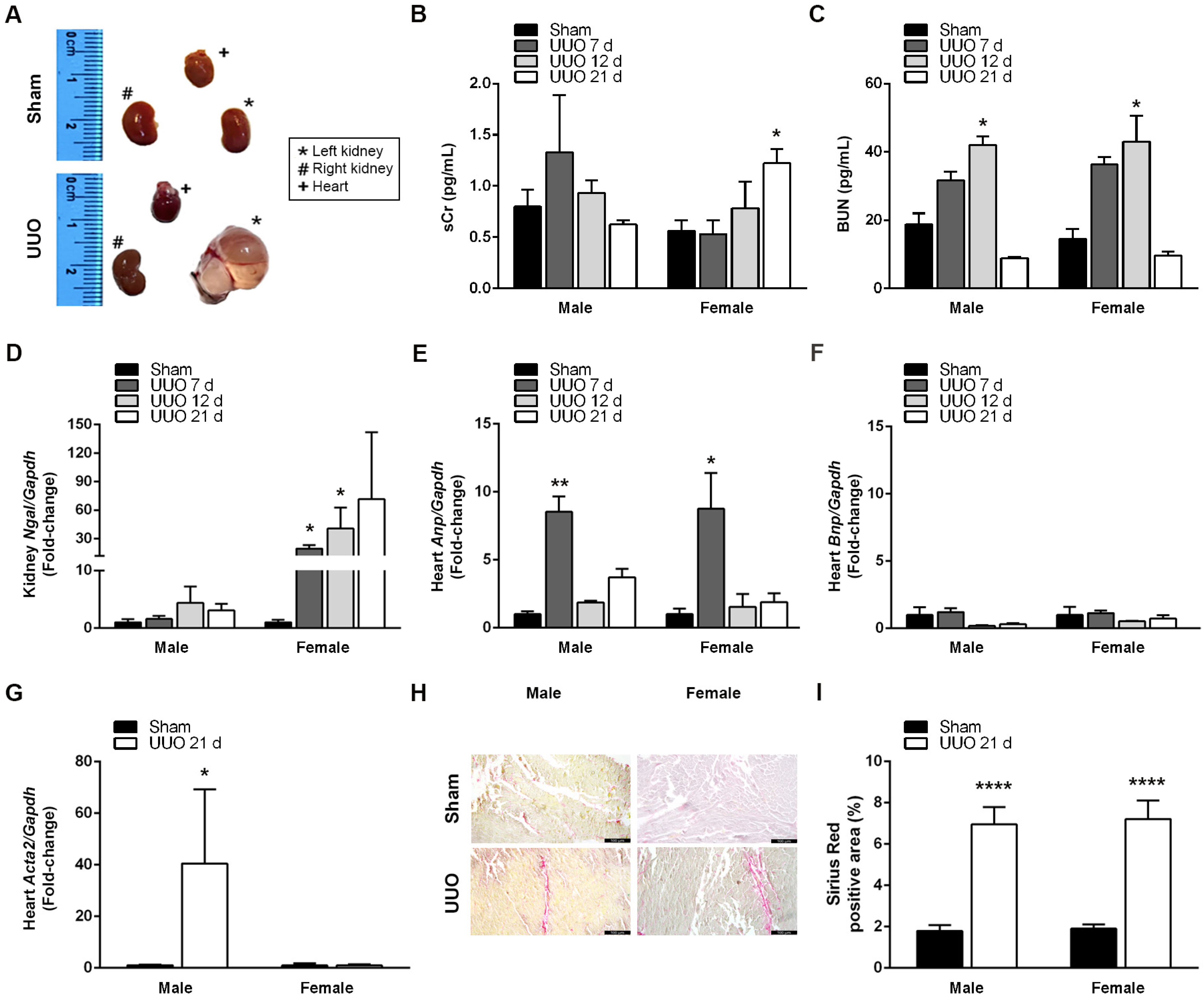 Biomedicines 12 01908 g002 Biomedicines 12 01908 g002