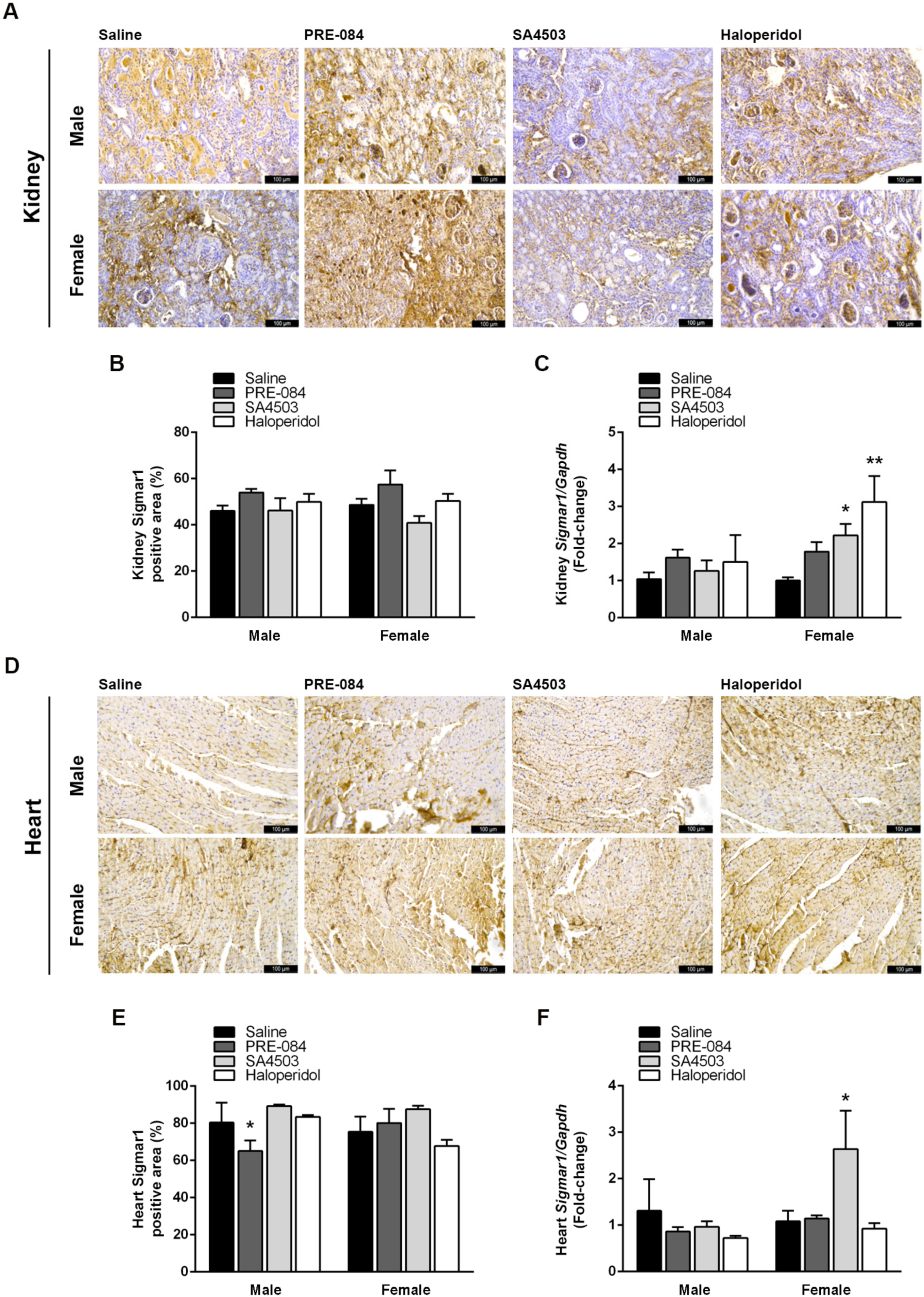 Biomedicines 12 01908 g006 Biomedicines 12 01908 g006