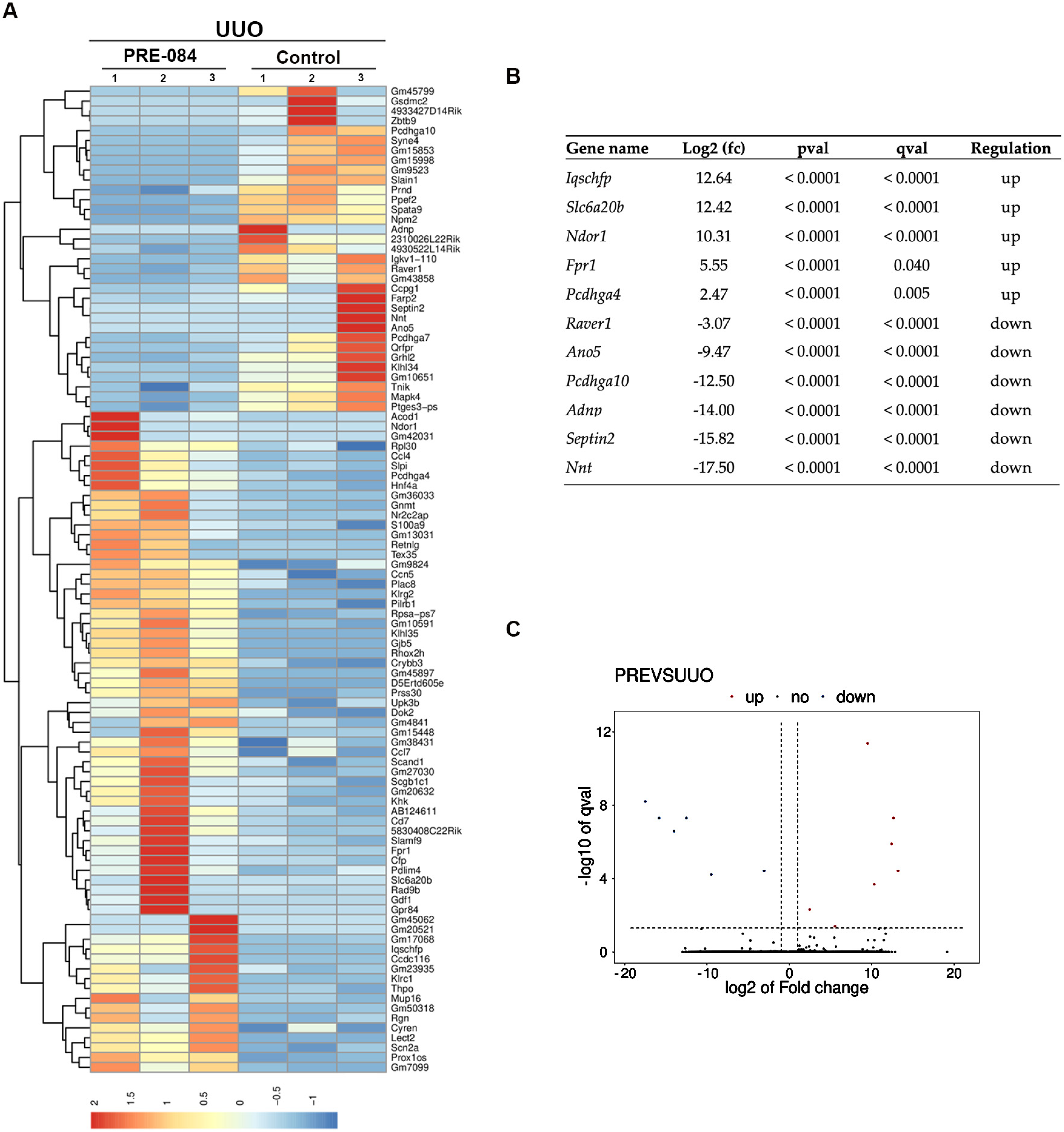 Biomedicines 12 01908 g007 Biomedicines 12 01908 g007