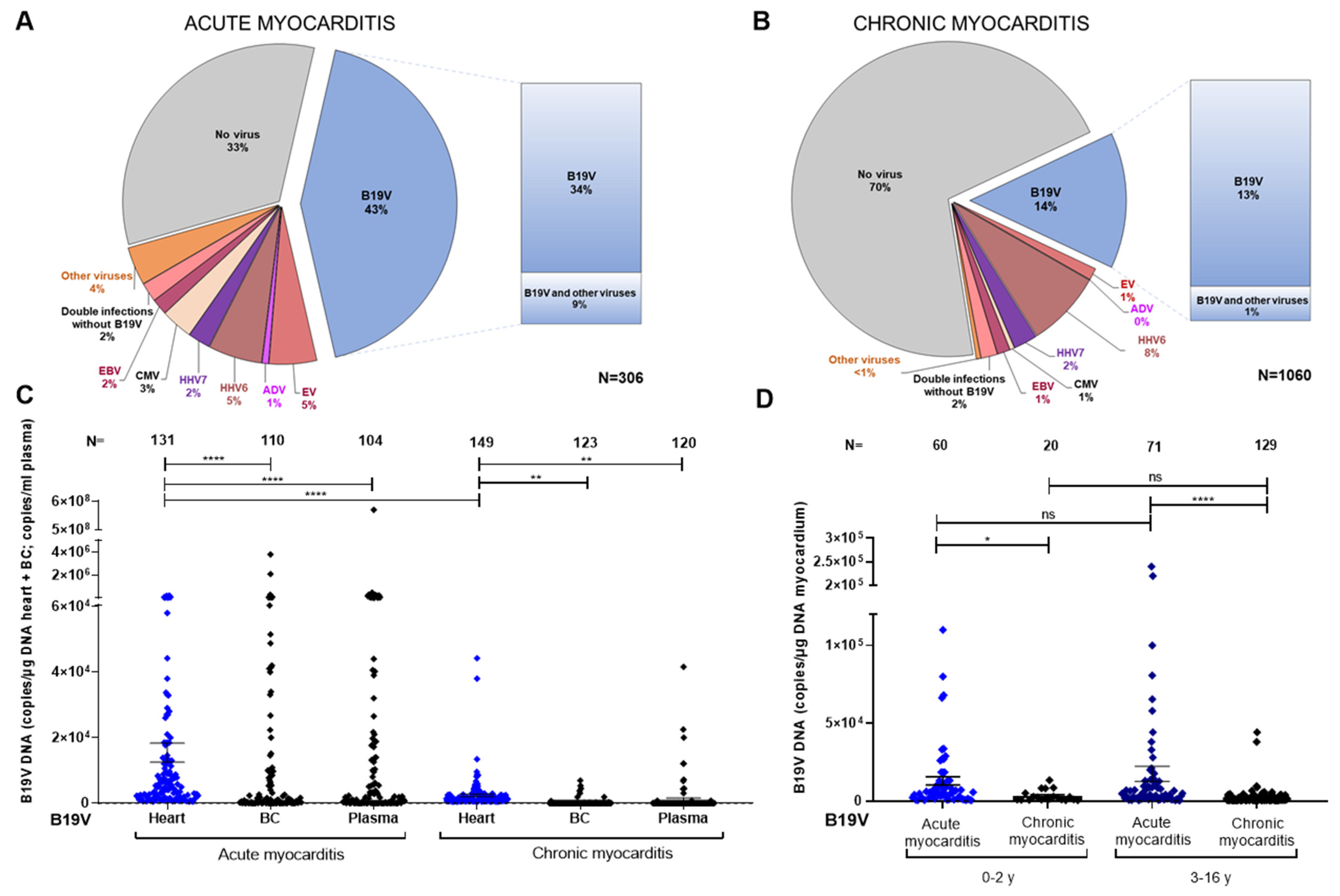 Biomedicines 12 01909 g001