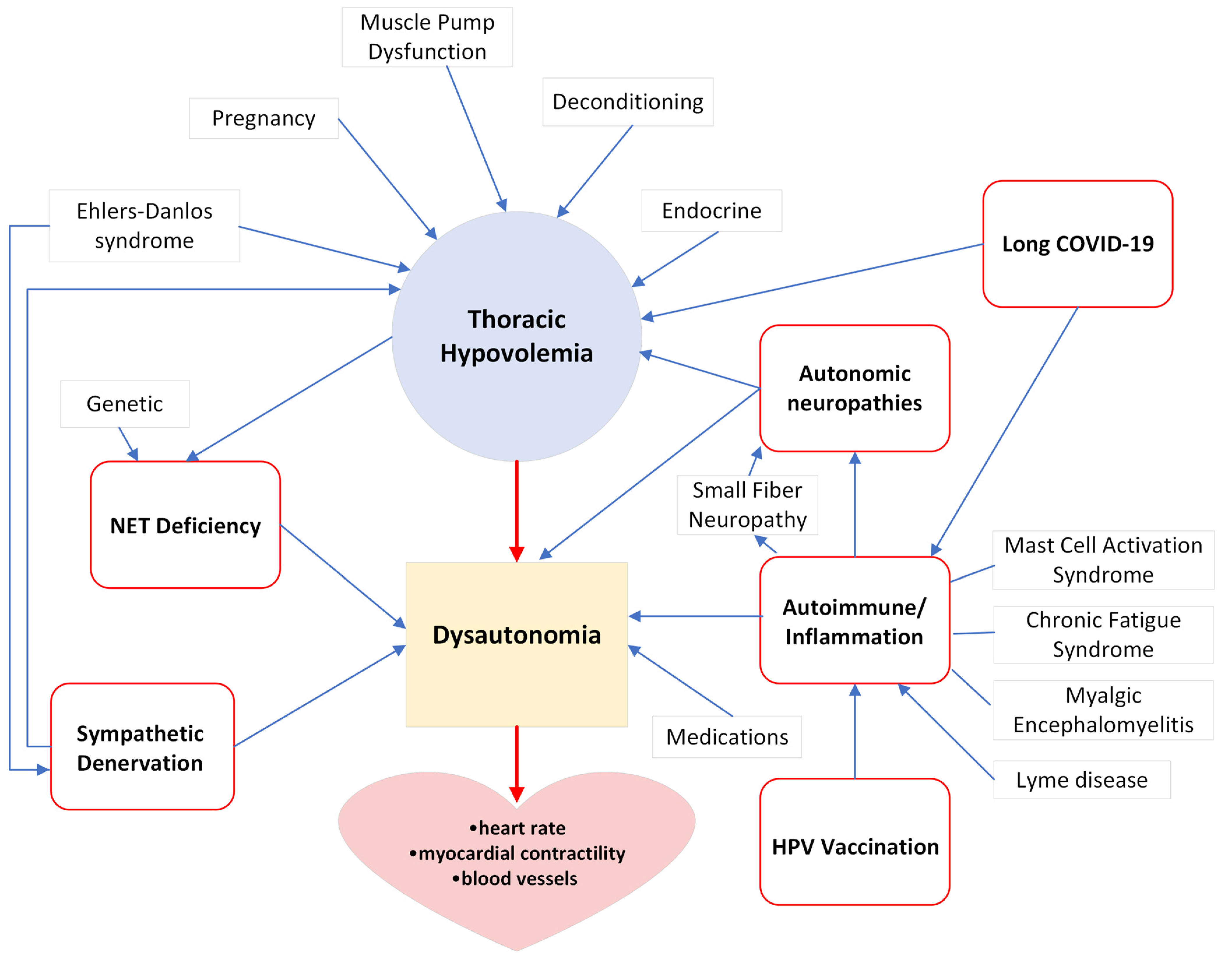 Biomedicines 12 01911 g001 Biomedicines 12 01911 g001