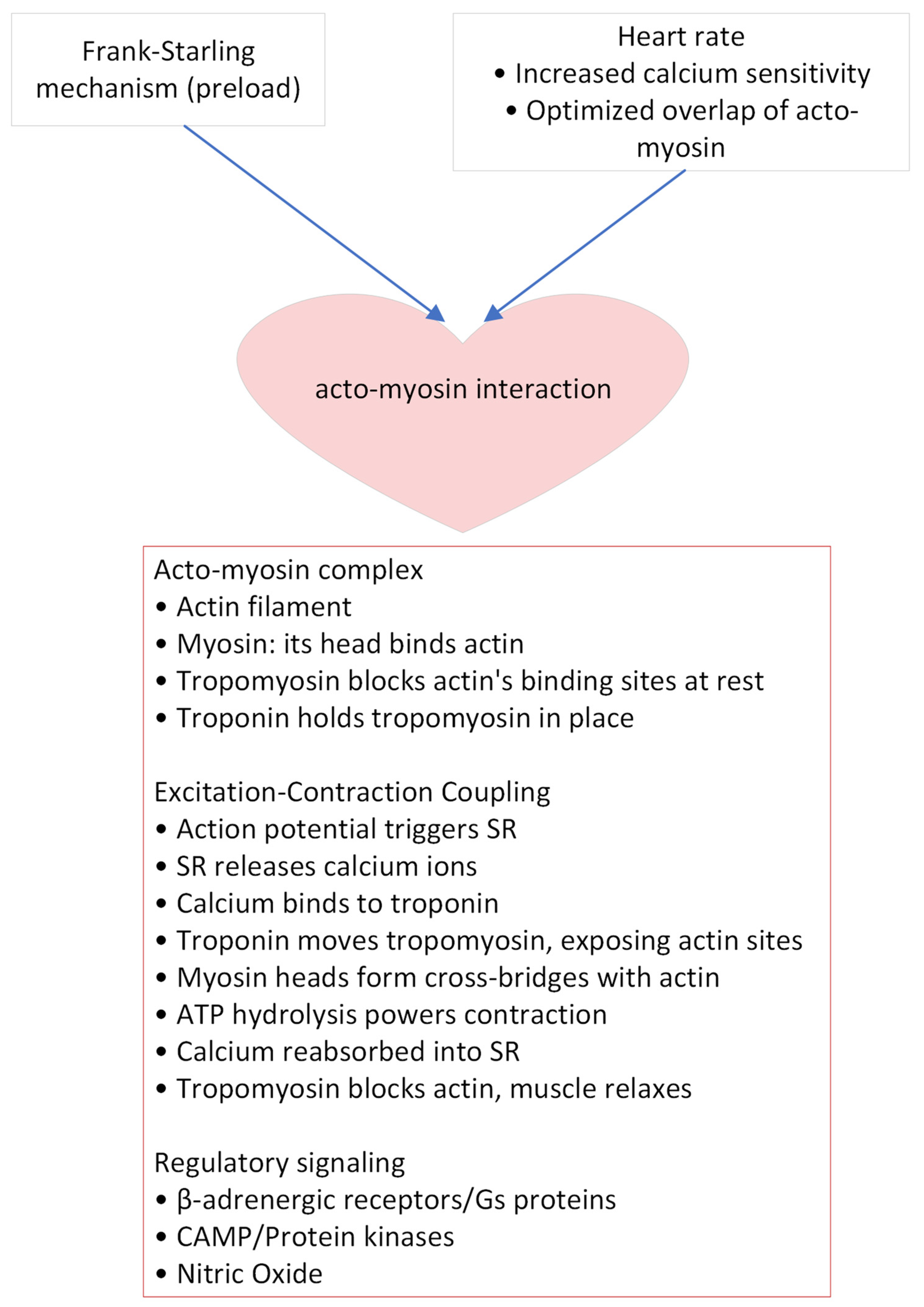Biomedicines 12 01911 g002 Biomedicines 12 01911 g002