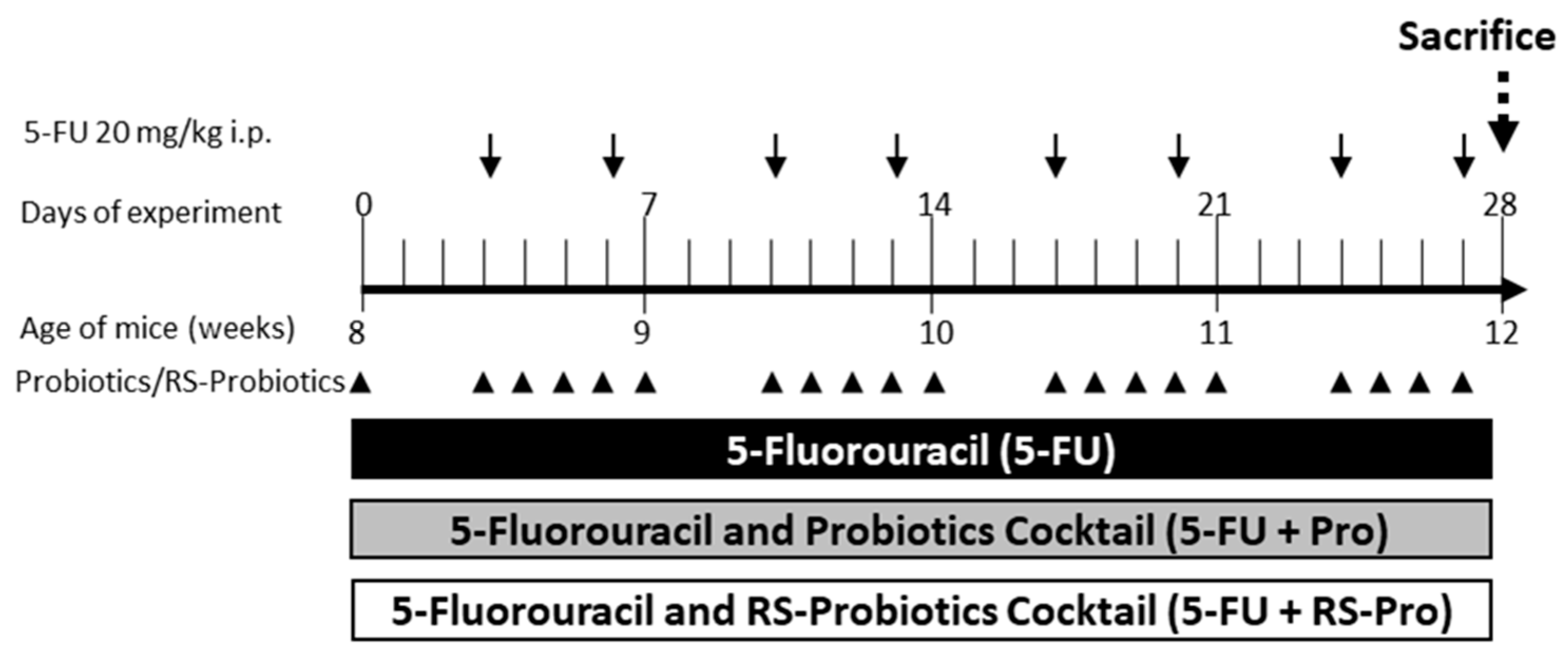 Biomedicines 12 01912 g003