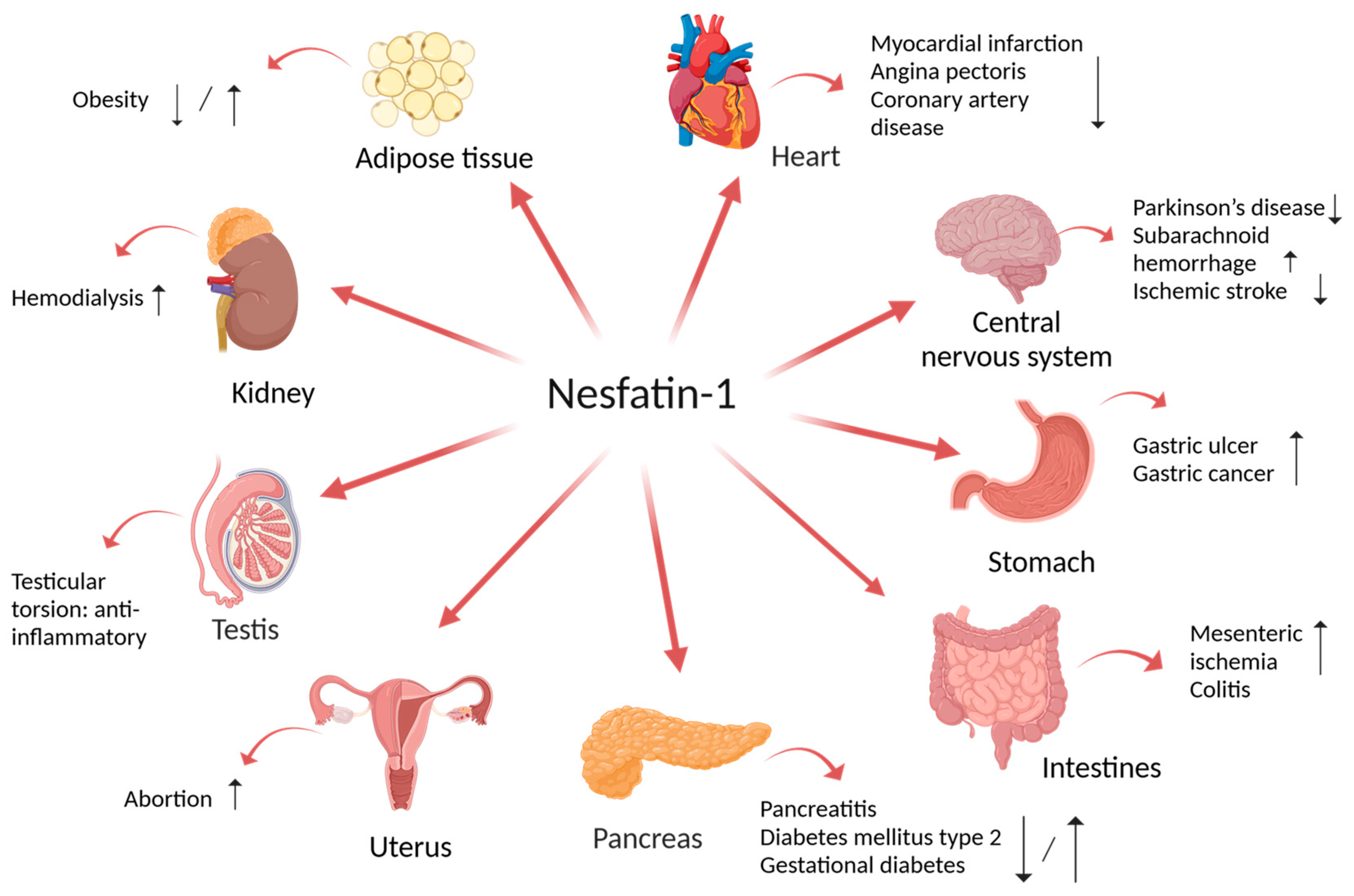 Biomedicines 12 01913 g001