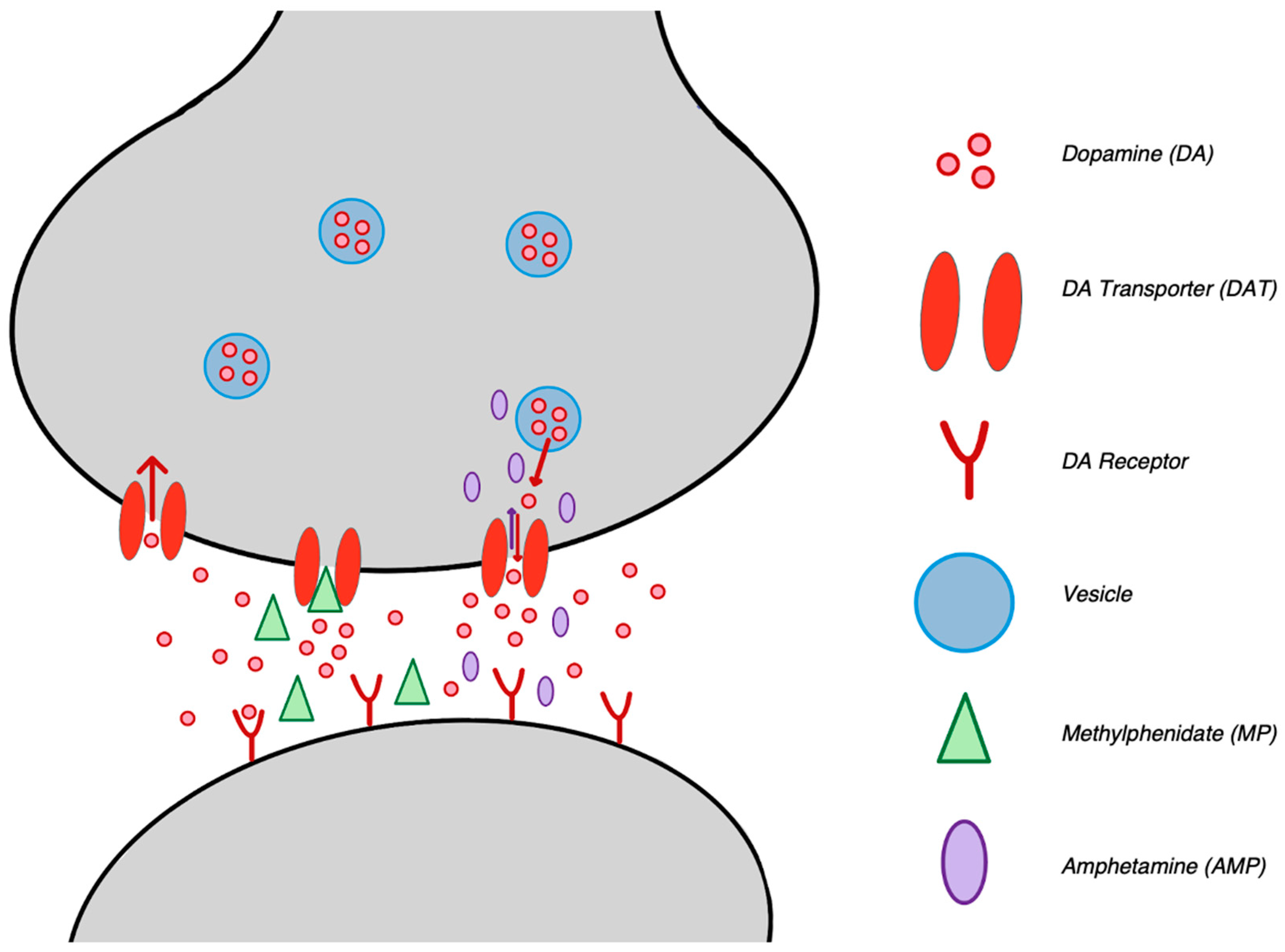 Biomedicines 12 01914 g002 Biomedicines 12 01914 g002