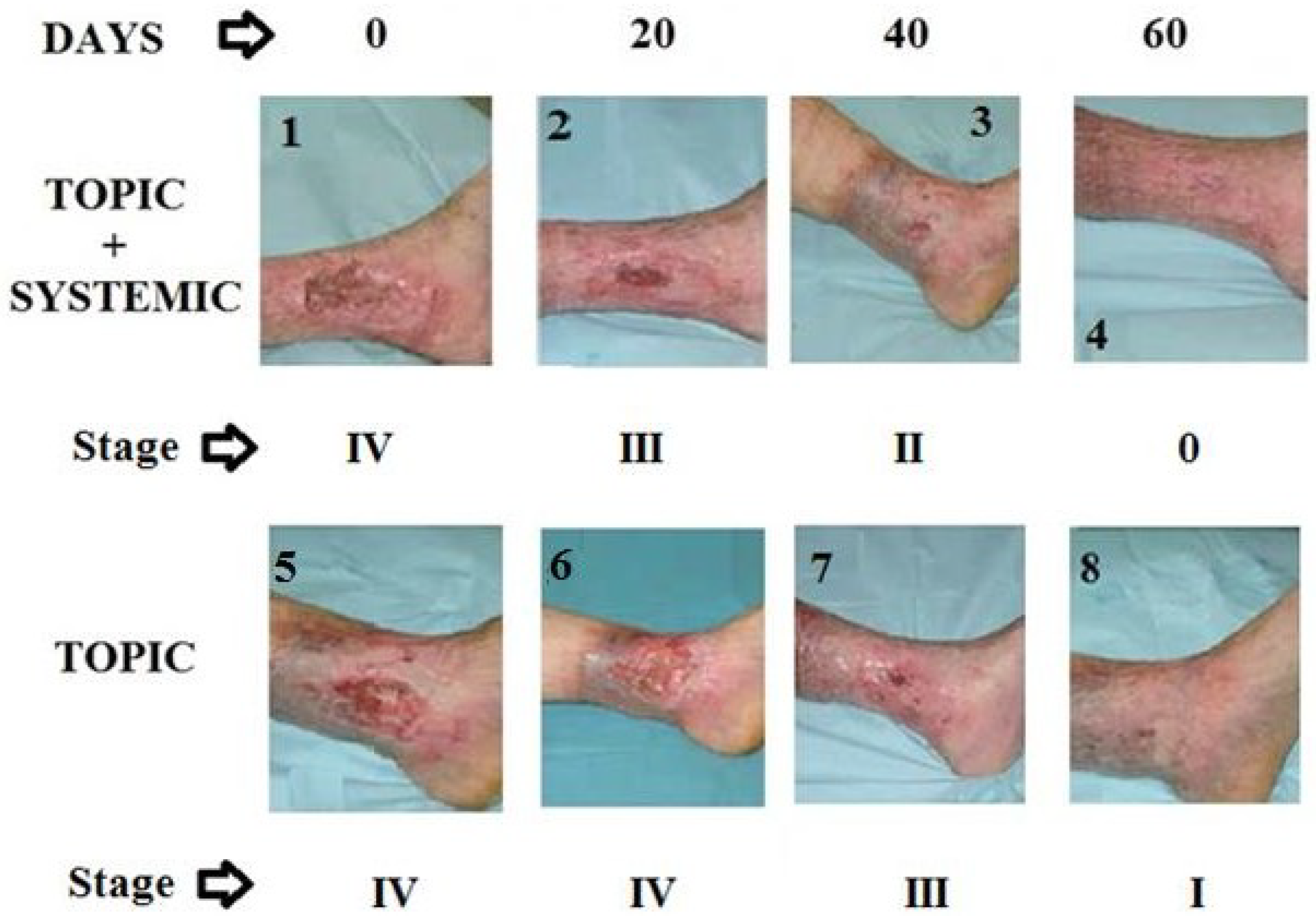 Biomedicines 12 01918 g003 Biomedicines 12 01918 g003