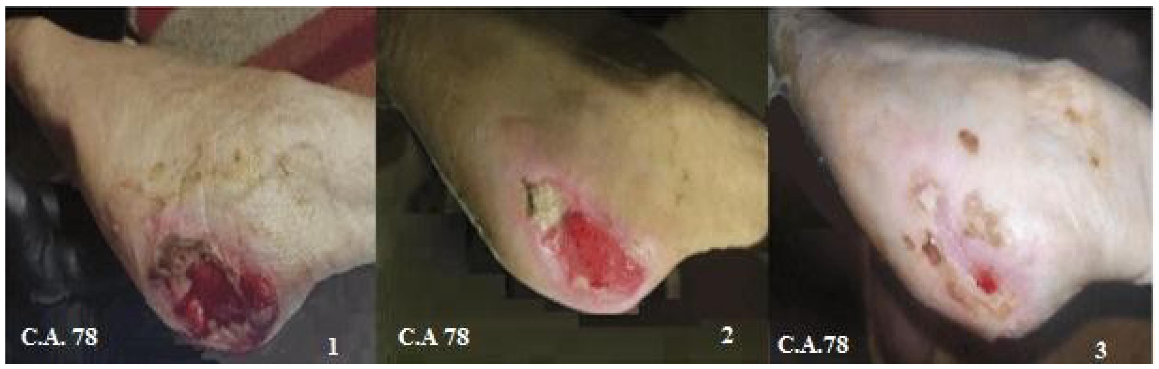 Biomedicines 12 01918 g006 Biomedicines 12 01918 g006