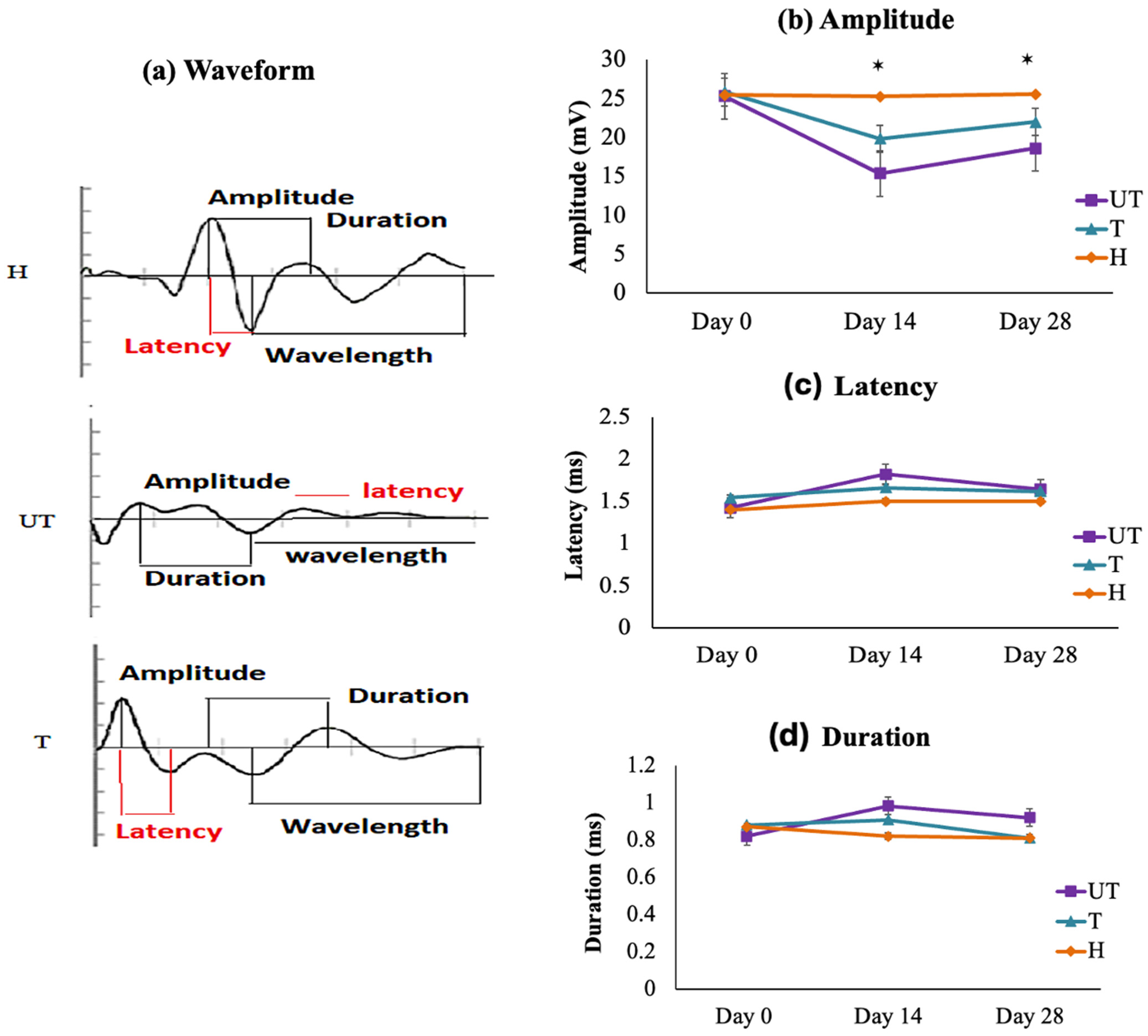 Biomedicines 12 01920 g004