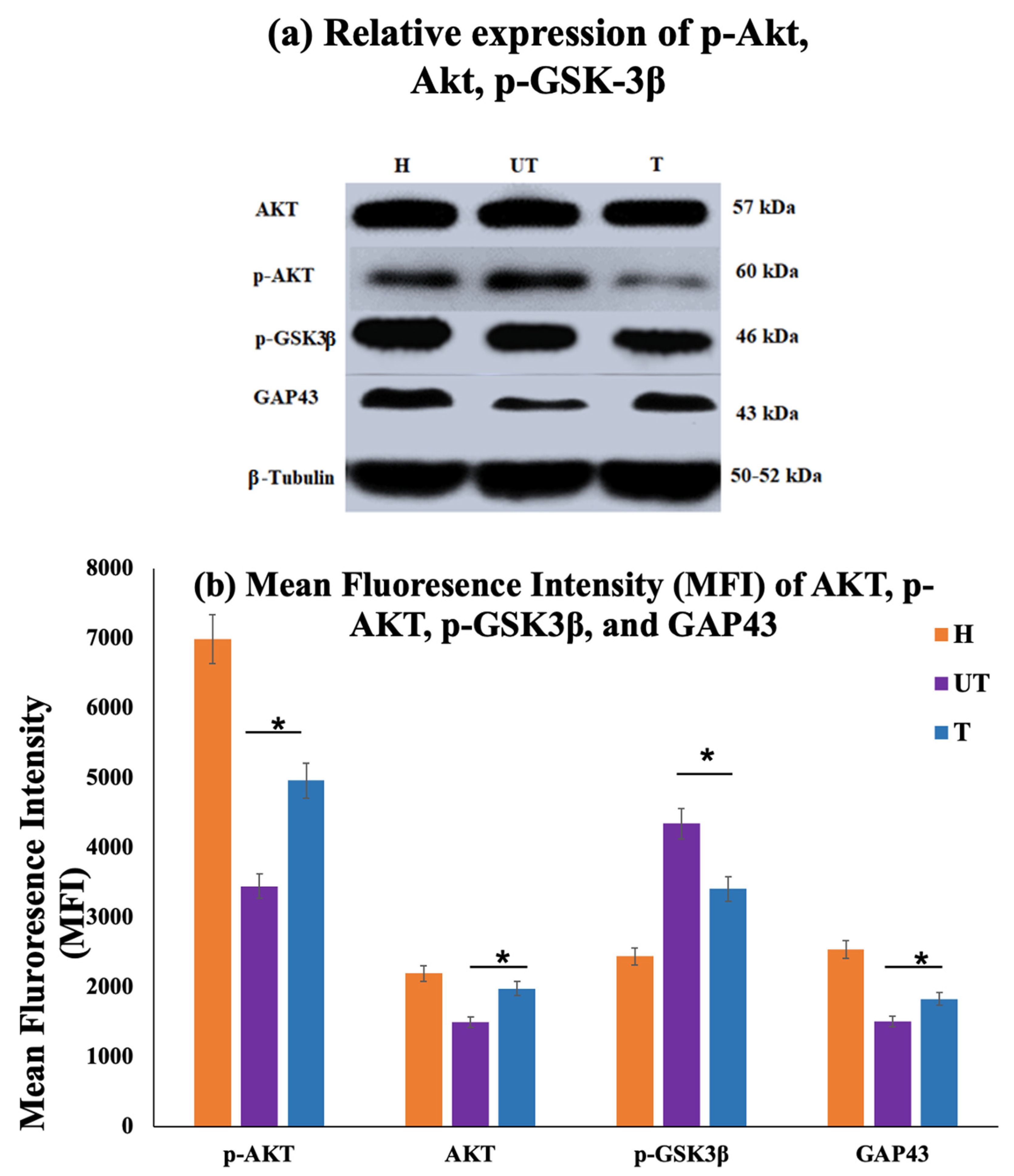 Biomedicines 12 01920 g007