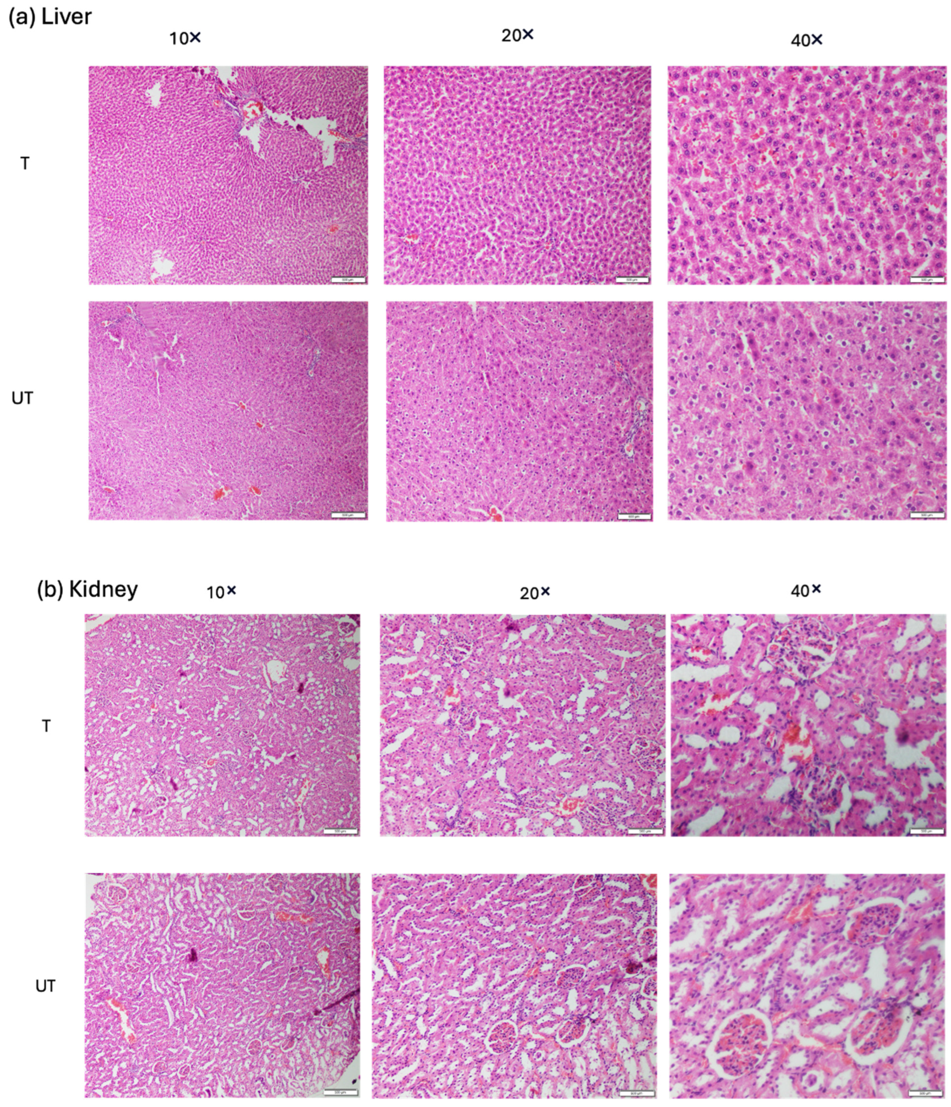 Biomedicines 12 01920 g008