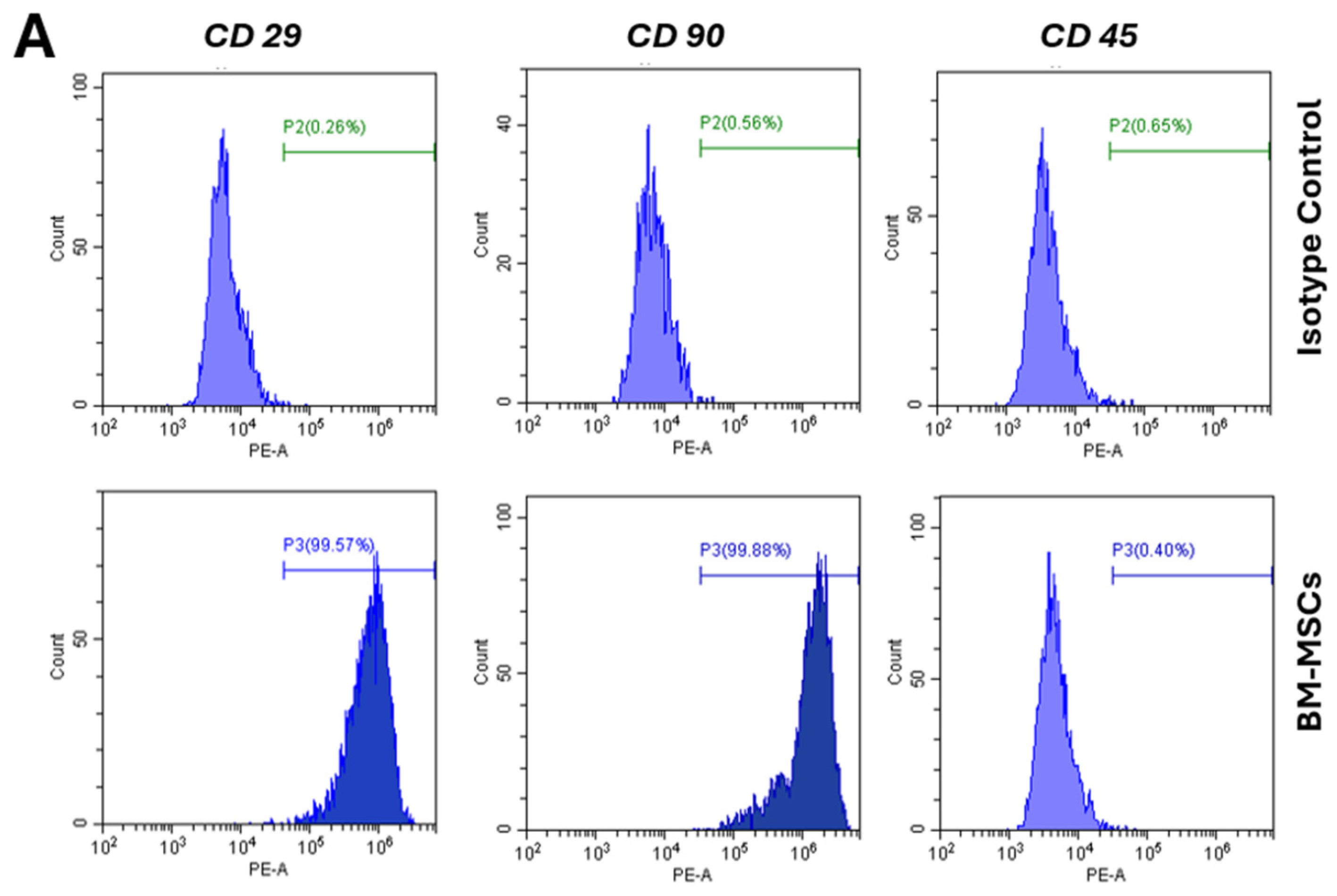 Biomedicines 12 01923 g003a Biomedicines 12 01923 g003a