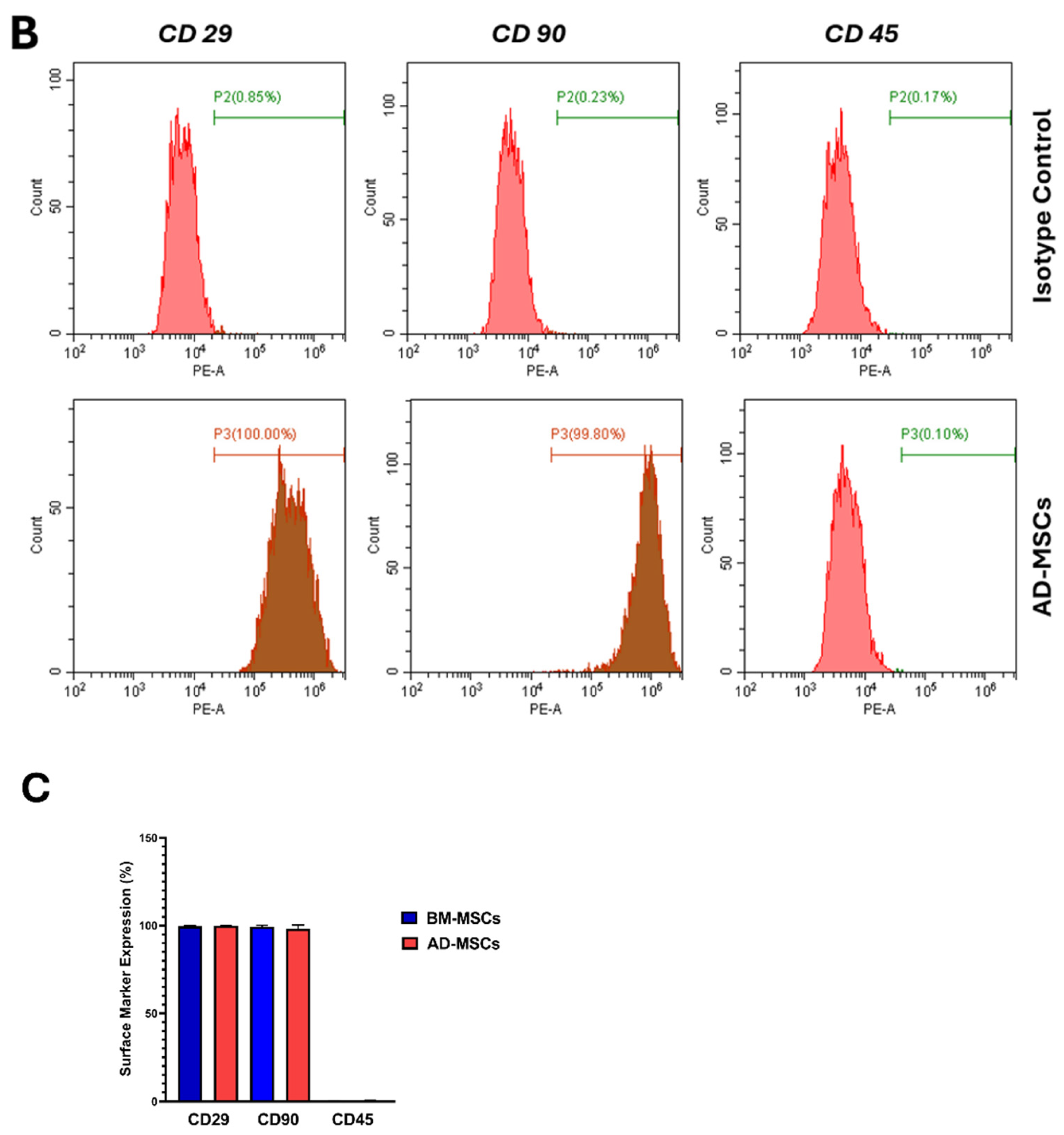 Biomedicines 12 01923 g003b Biomedicines 12 01923 g003b