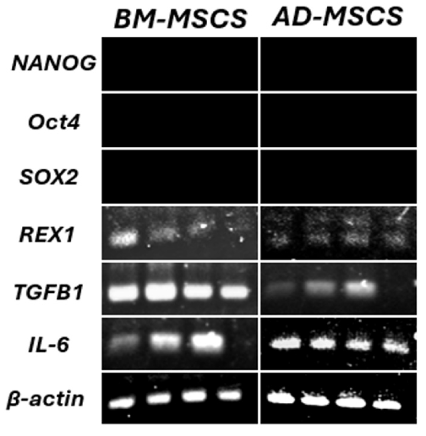 Biomedicines 12 01923 g005 Biomedicines 12 01923 g005