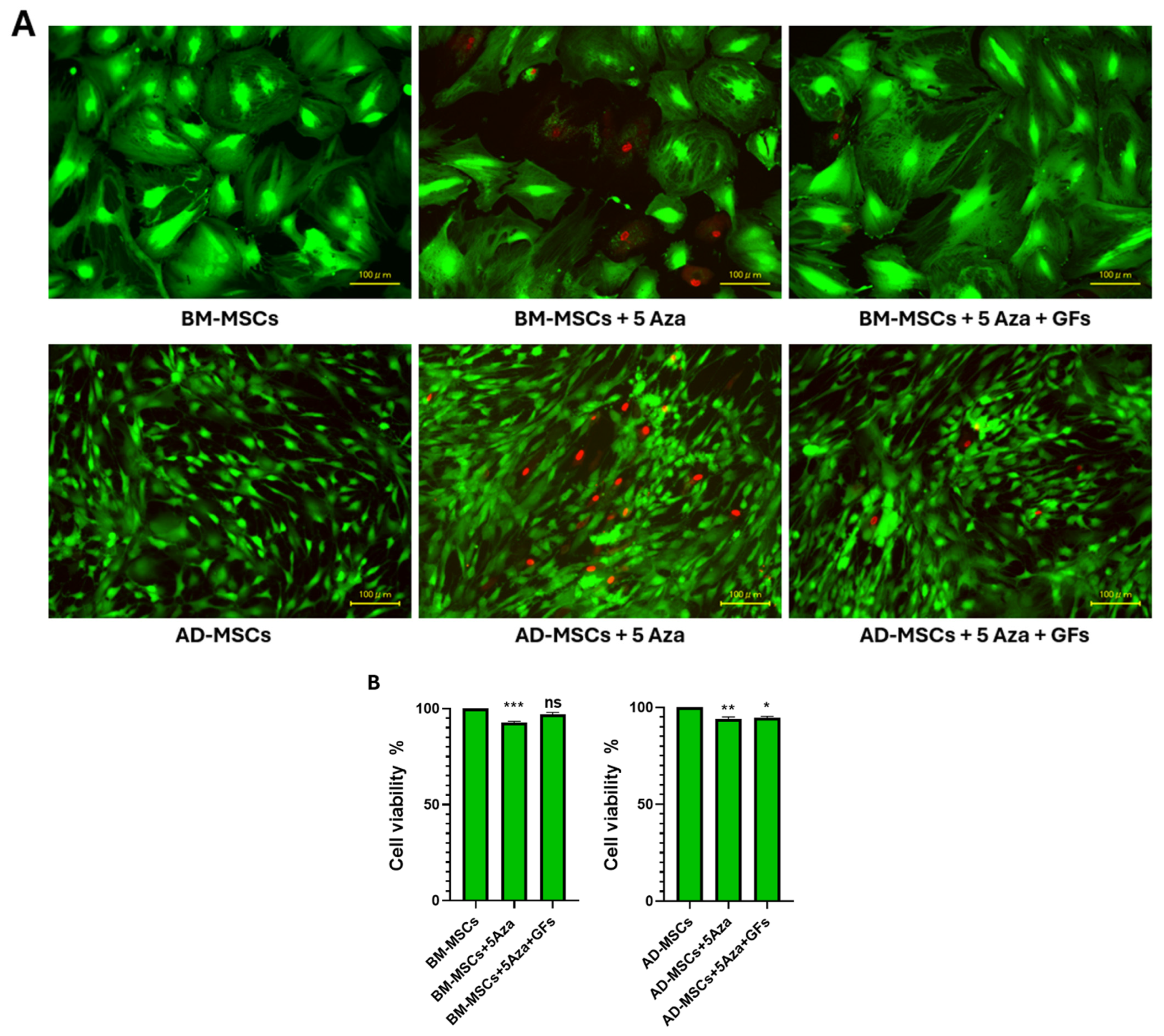 Biomedicines 12 01923 g007 Biomedicines 12 01923 g007