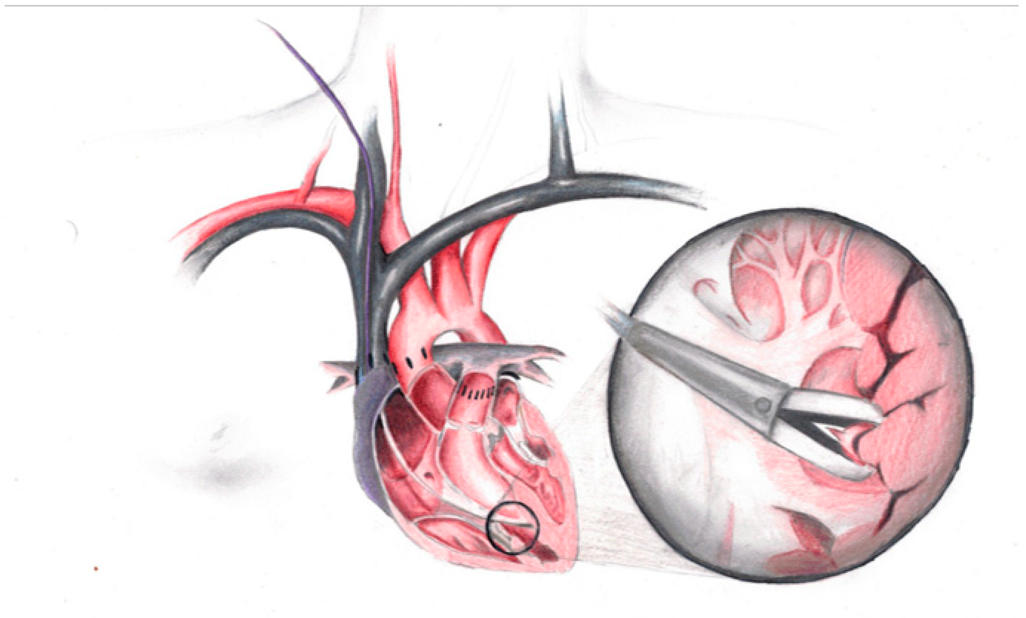 Biomedicines 12 01926 g001 Biomedicines 12 01926 g001