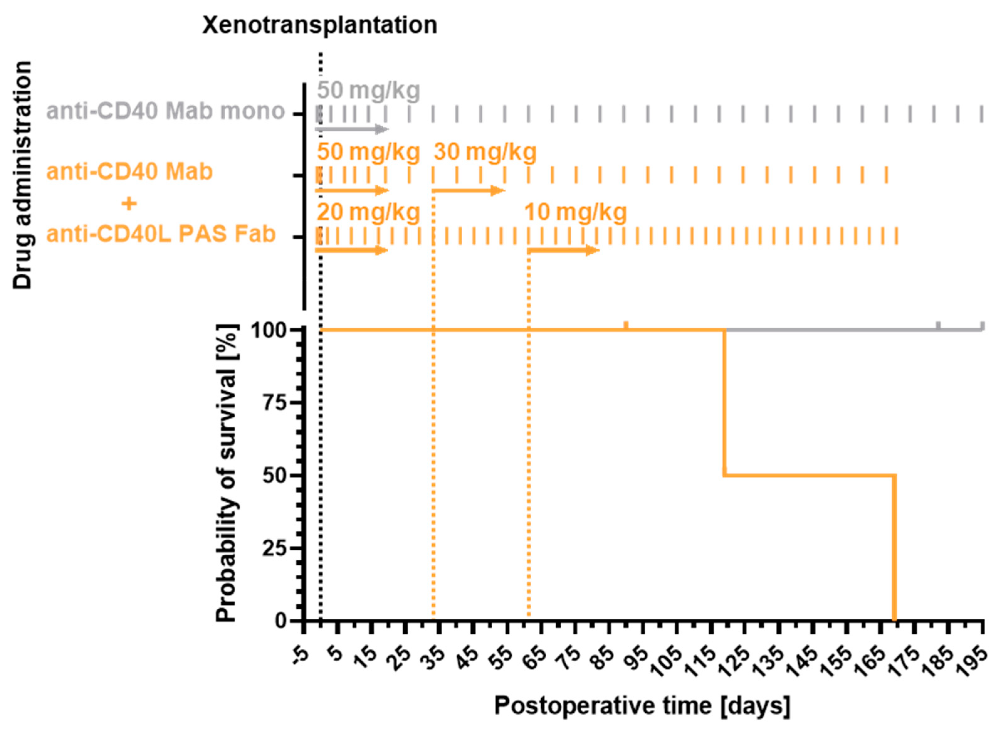 Biomedicines 12 01927 g001