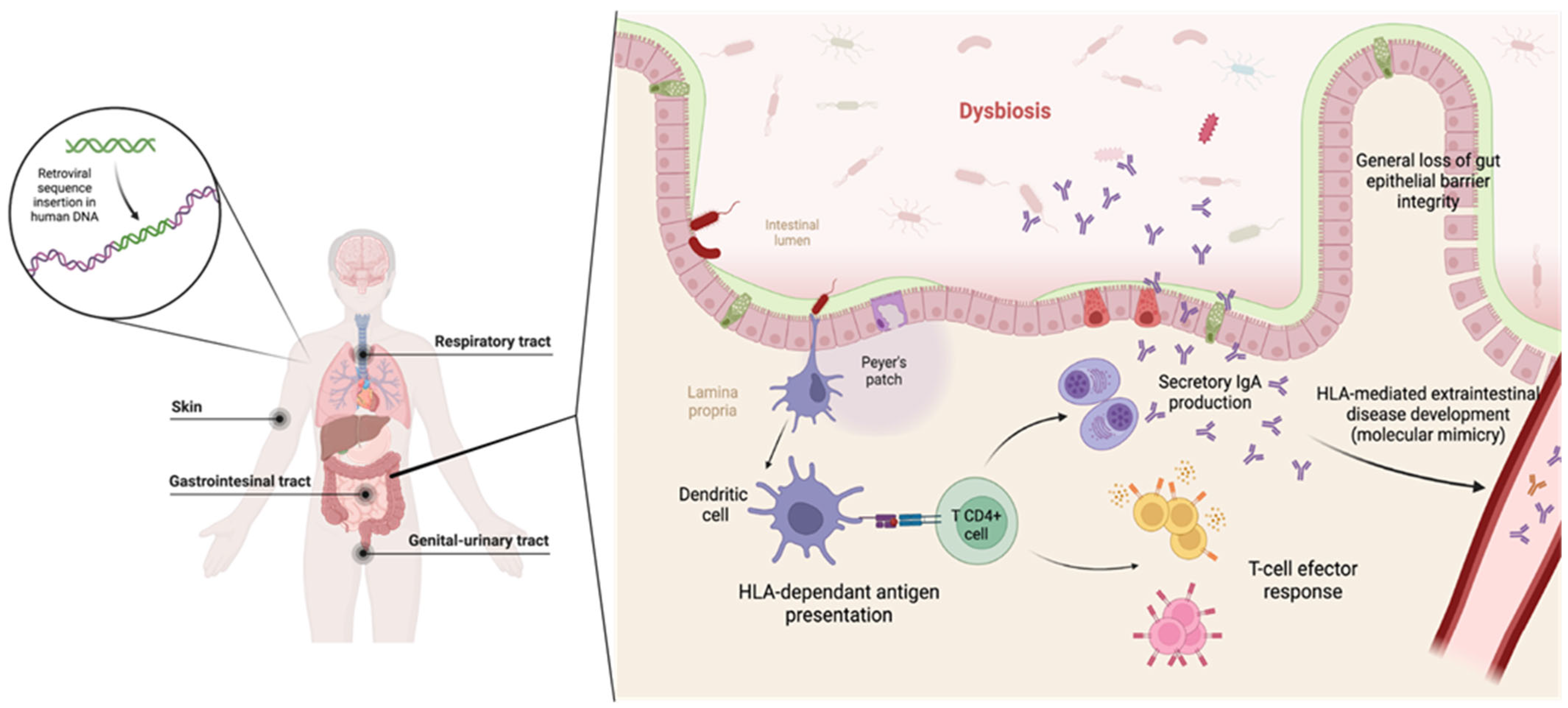 Biomedicines 12 01928 g003