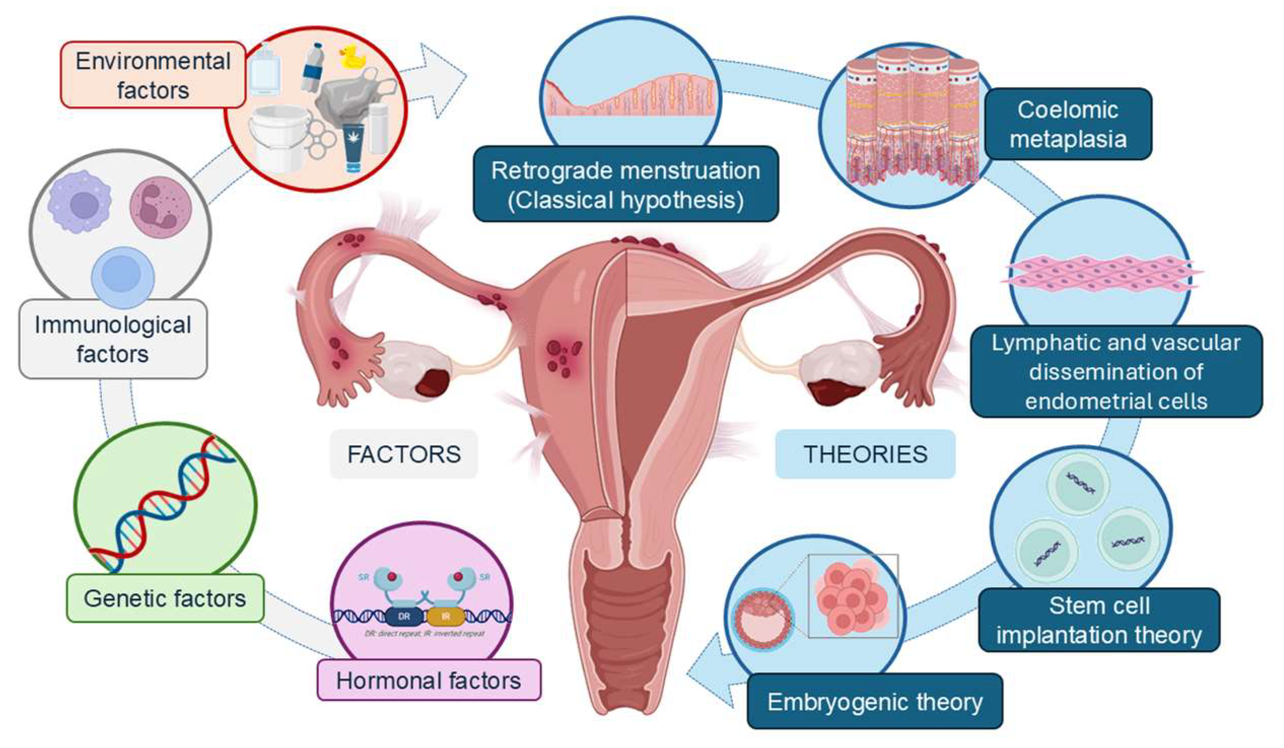 Biomedicines 12 01932 g001