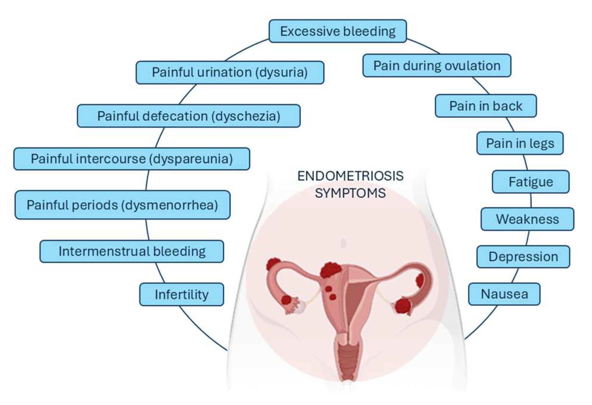 Biomedicines 12 01932 g002