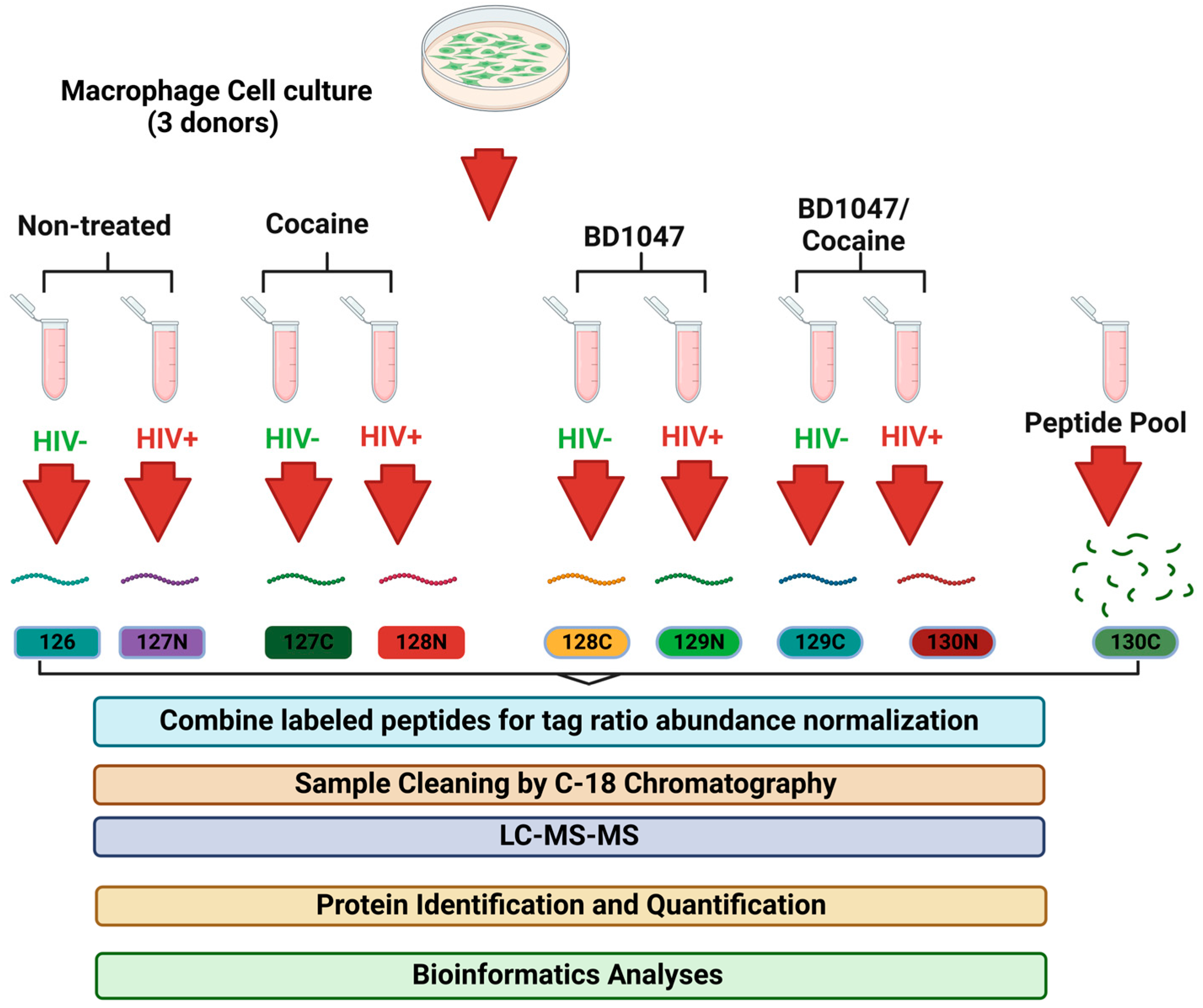 健康・医学 Receptor Based Solutions 健康・医学 Receptor Based Solutions Receptor Based Solutions