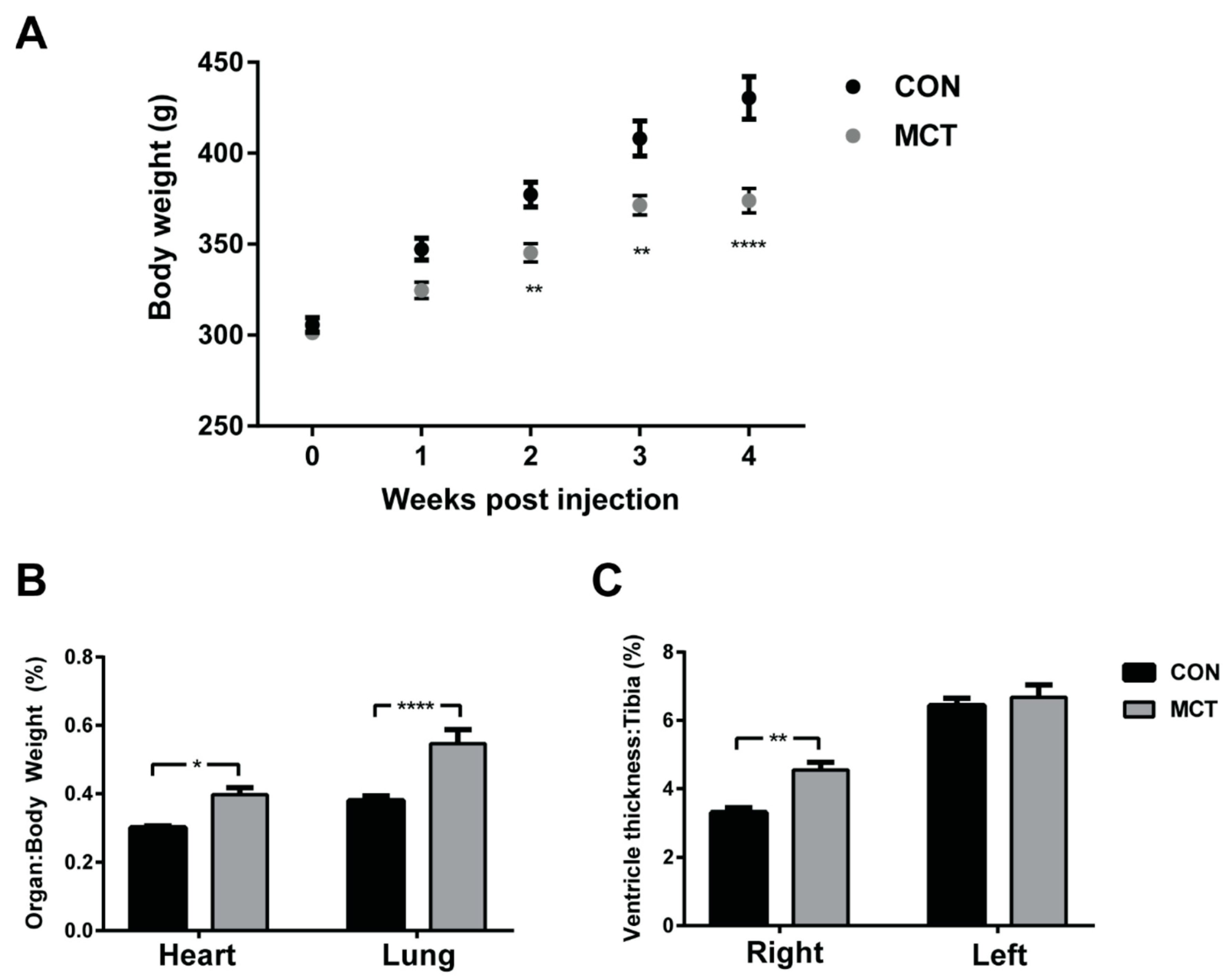 Biomedicines 12 01944 g001
